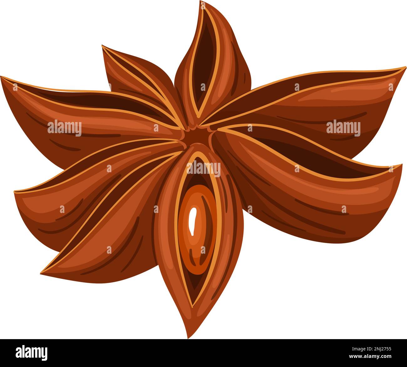 anise star cartoon disegno vettoriale segno a colori Illustrazione Vettoriale