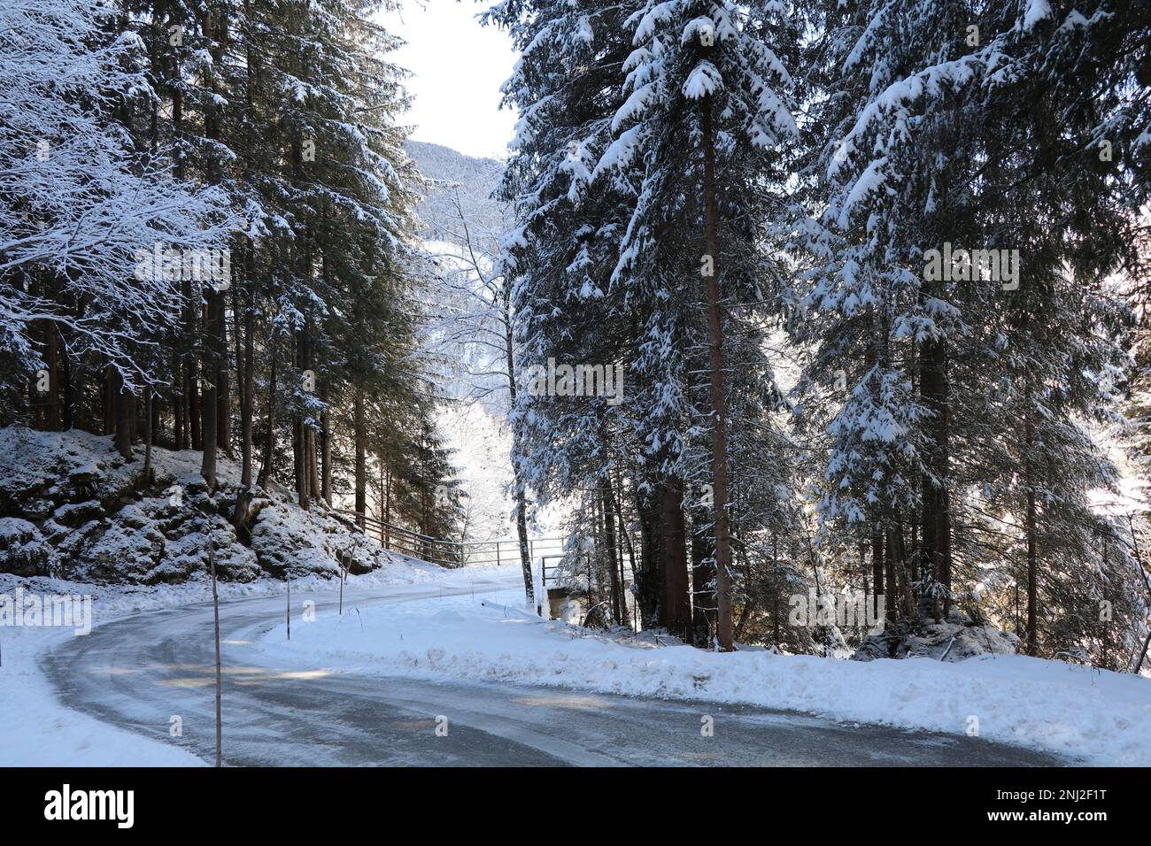 strada ghiacciata attraverso la foresta in una giornata di sole inverno Foto Stock