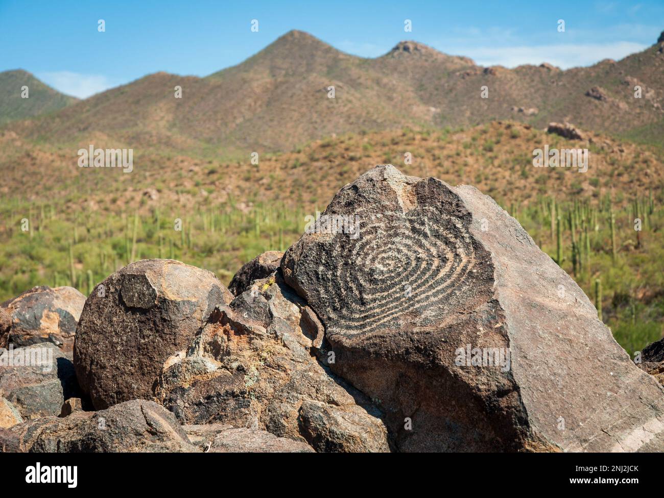 Saguaro National Park in Arizona, Stati Uniti Foto Stock