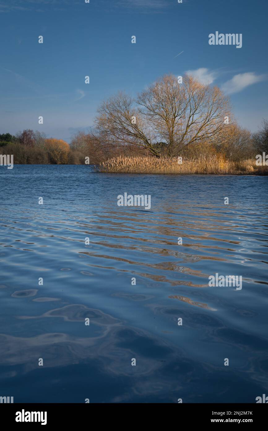 Acqua di Alton (serbatoio di Alton) in una giornata di sole nel mese di febbraio. Colori caldi di alberi, cielo blu. Foto Stock