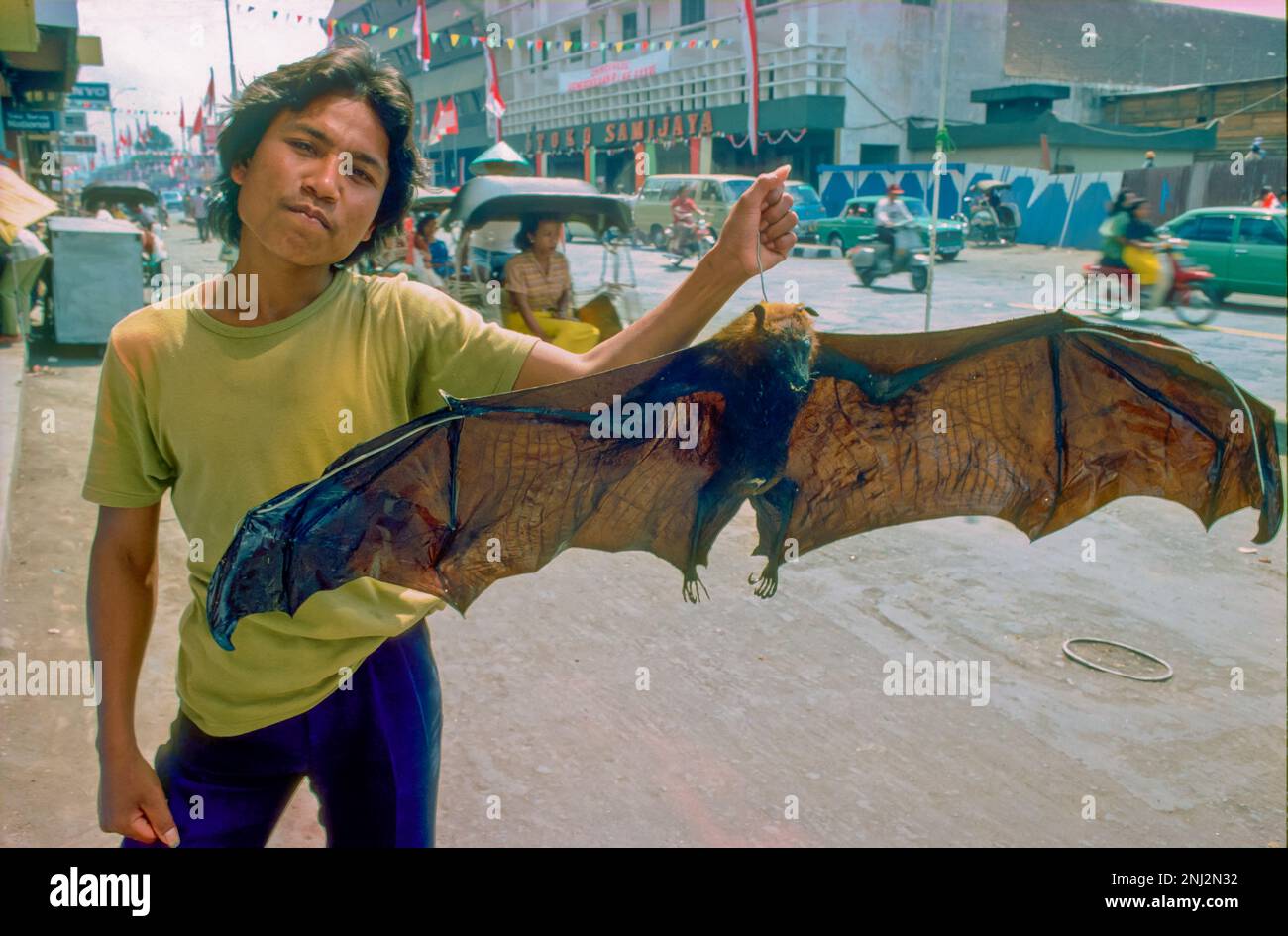 Indonesia. Venditore di strada vende Kalang montato, o grande volpe volante (Pteropus vampyrus). Foto Stock