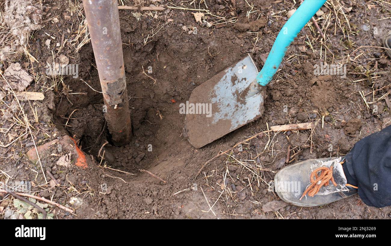 un uomo scava un palo arrugginito arrotondato di metallo da un terreno roccioso duro con una pala manuale, vista dall'alto, scavando un buco nel terreno per un palo o scavando tondino Foto Stock