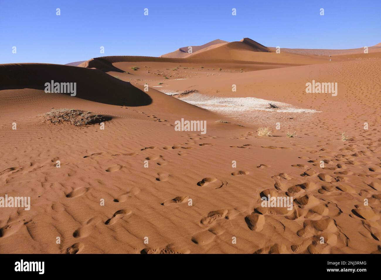 Viaggi su misura in Africa Foto Stock