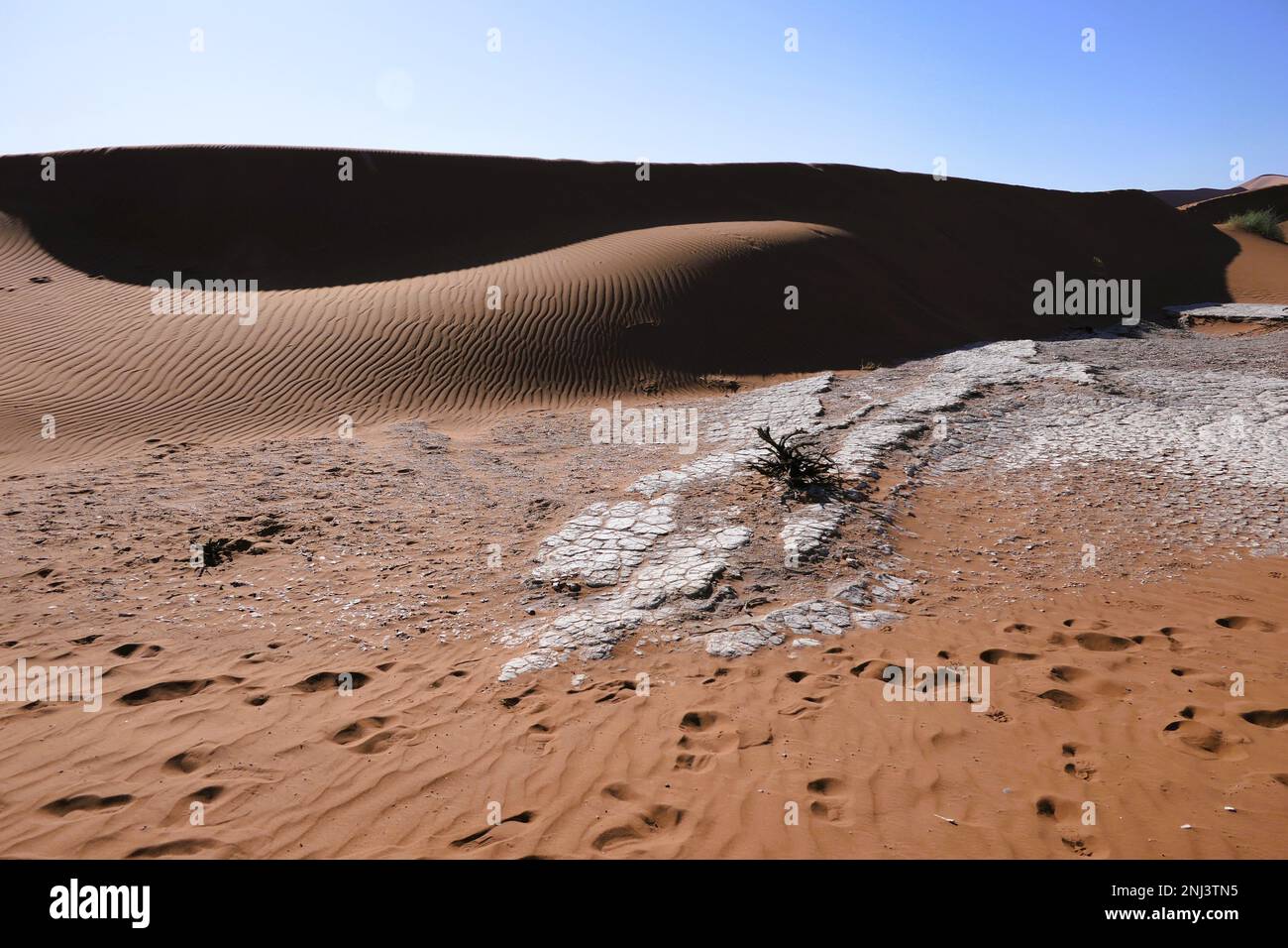 Viaggi su misura in Africa Foto Stock