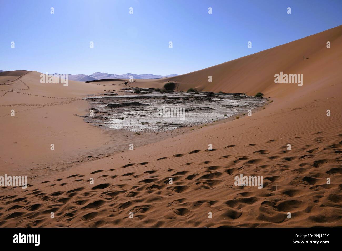 Visitare l'africa immagini e fotografie stock ad alta risoluzione - Alamy