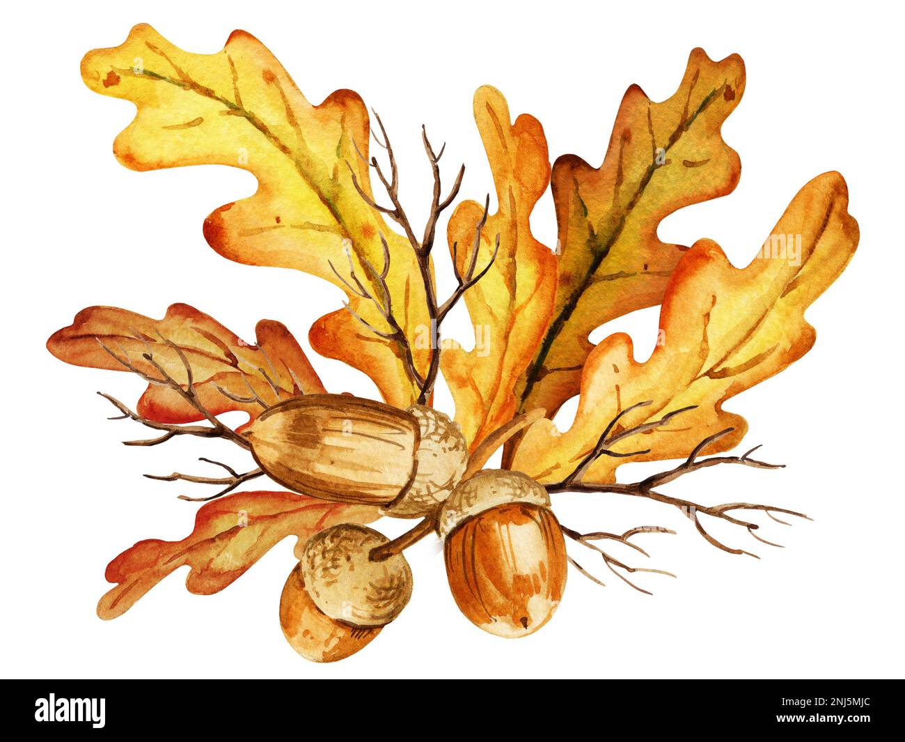 acquerello foglie, ghiande e rami di quercia, composizione autunnale, disegno a mano, giallo, arancione, colore marrone Foto Stock