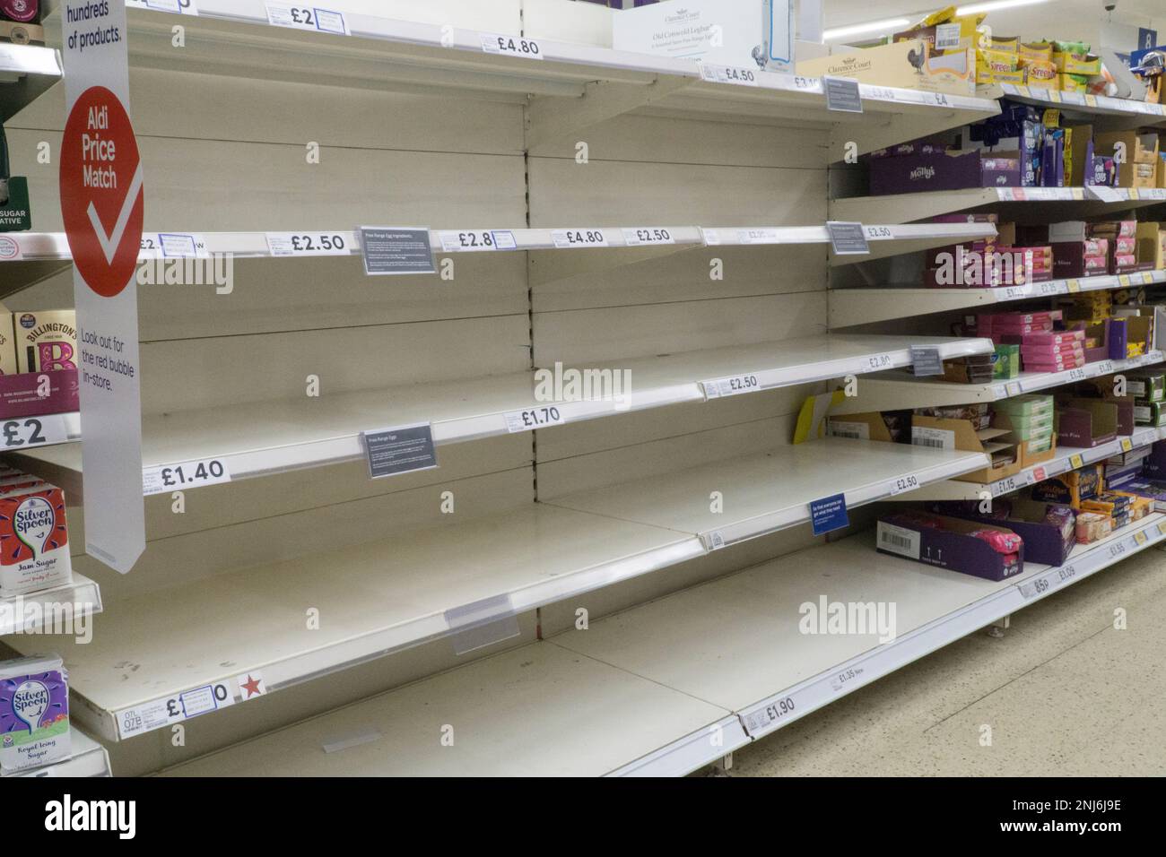 Londra, Regno Unito, 22 febbraio 2023: In una grande filiale di Tesco a Clapham, nel sud di Londra, i problemi legati alla catena di approvvigionamento fanno sì che solo alcune delle marche di uova più costose restino in vendita poiché tutte le altre sono esaurite. Lo stesso problema si è verificato nel ramo locale di Sainsbury's. Anna Watson/Alamy Live News Foto Stock