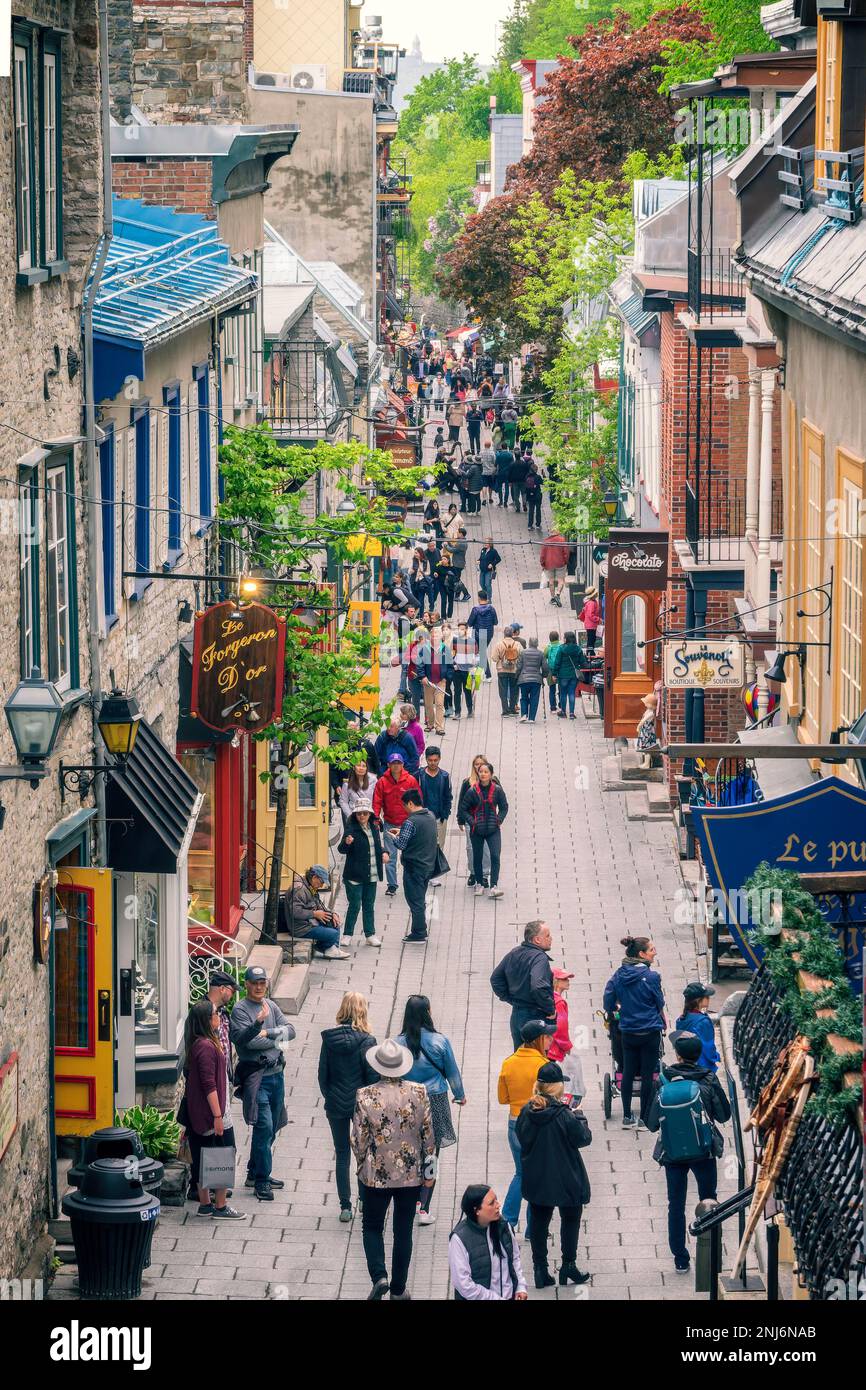 Little Champlain Street (rue du Petit Champlain) nella città bassa di Old Quebec, Canada Foto Stock