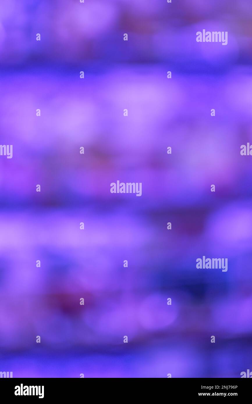 Negozio sfocatura sfondo con bokeh. Sfondo sfocato degli scaffali nei minimarket. Foto Stock