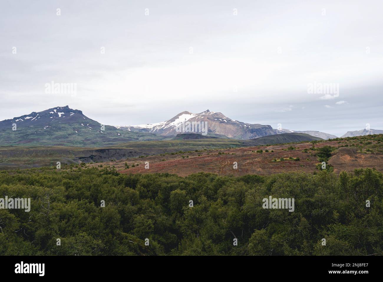 Vista di un incredibile paesaggio in Islanda con il ghiacciaio sul retro. Sentiero escursionistico Laugavegur Foto Stock