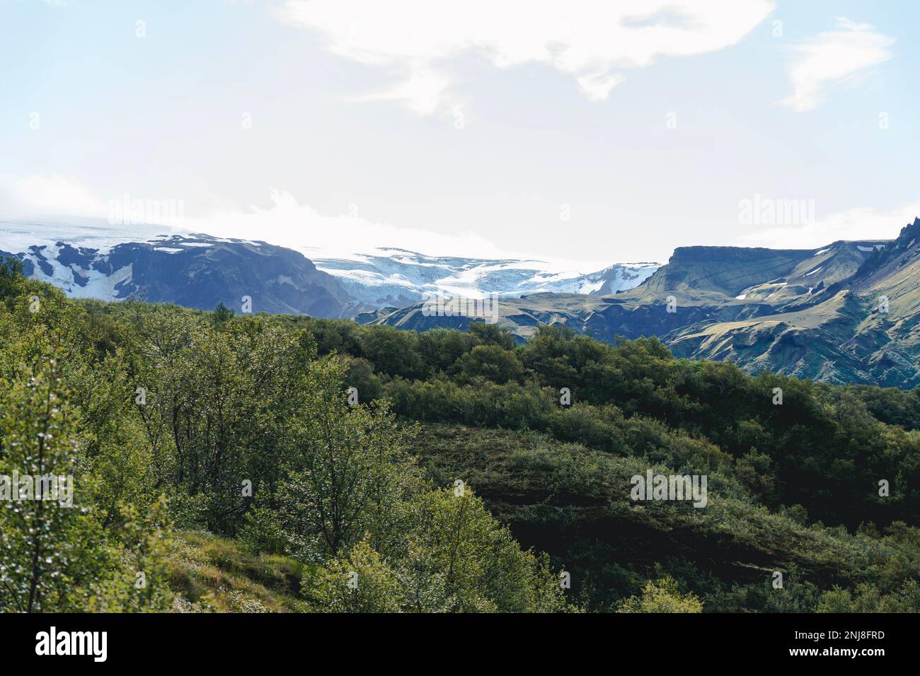 Vista di un incredibile paesaggio in Islanda con il ghiacciaio sul retro. Sentiero escursionistico Laugavegur Foto Stock