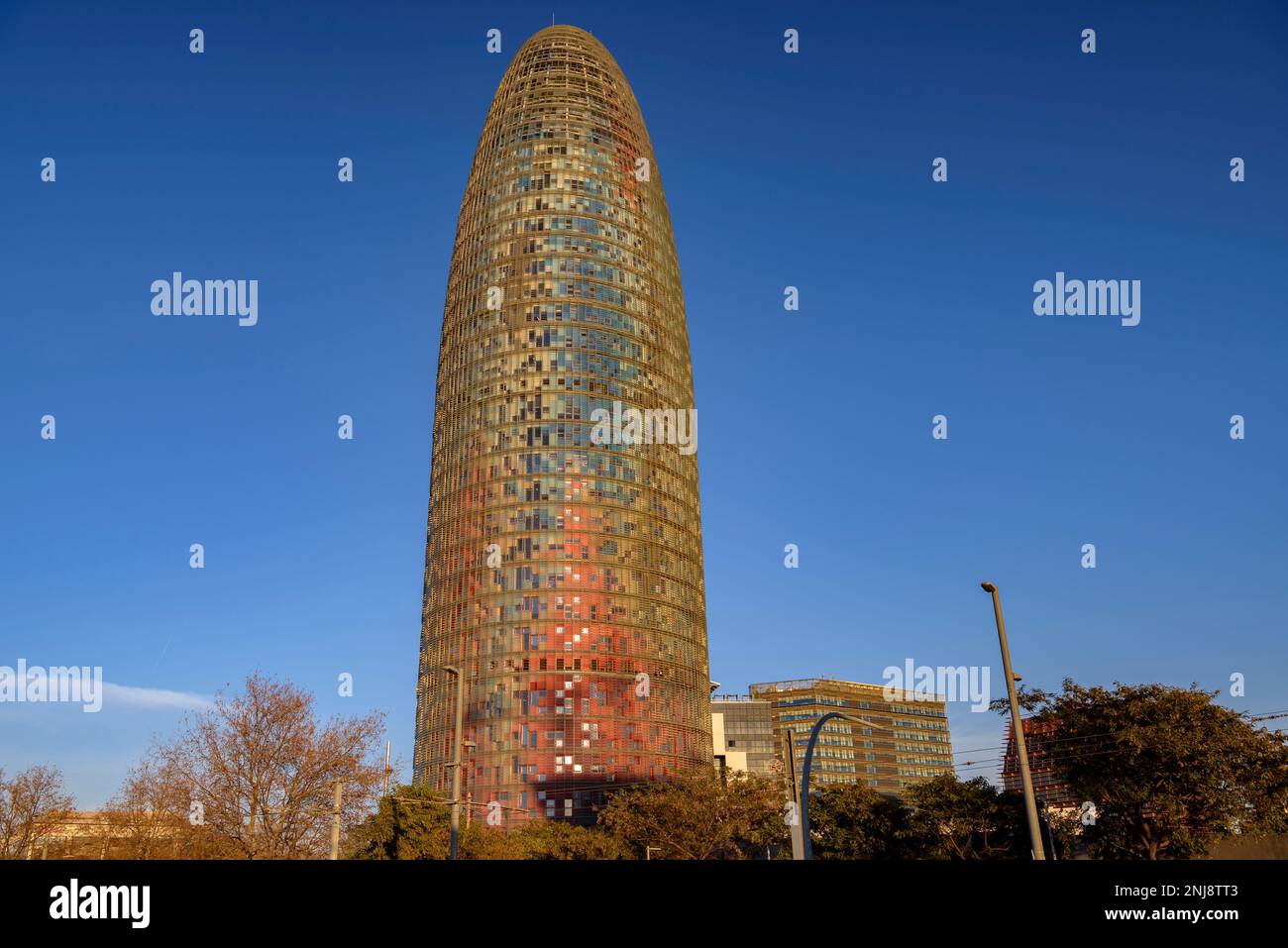 Torre Glòries (ex Agbar) al tramonto, visto da piazza Plaza de les Glòries (Barcellona, Catalogna, Spagna) ESP: Torre Glòries (antes Agbar) BCN Foto Stock