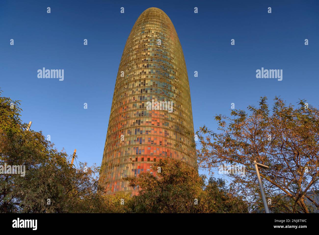 Torre Glòries (ex Agbar) al tramonto, visto da piazza Plaza de les Glòries (Barcellona, Catalogna, Spagna) ESP: Torre Glòries (antes Agbar) BCN Foto Stock