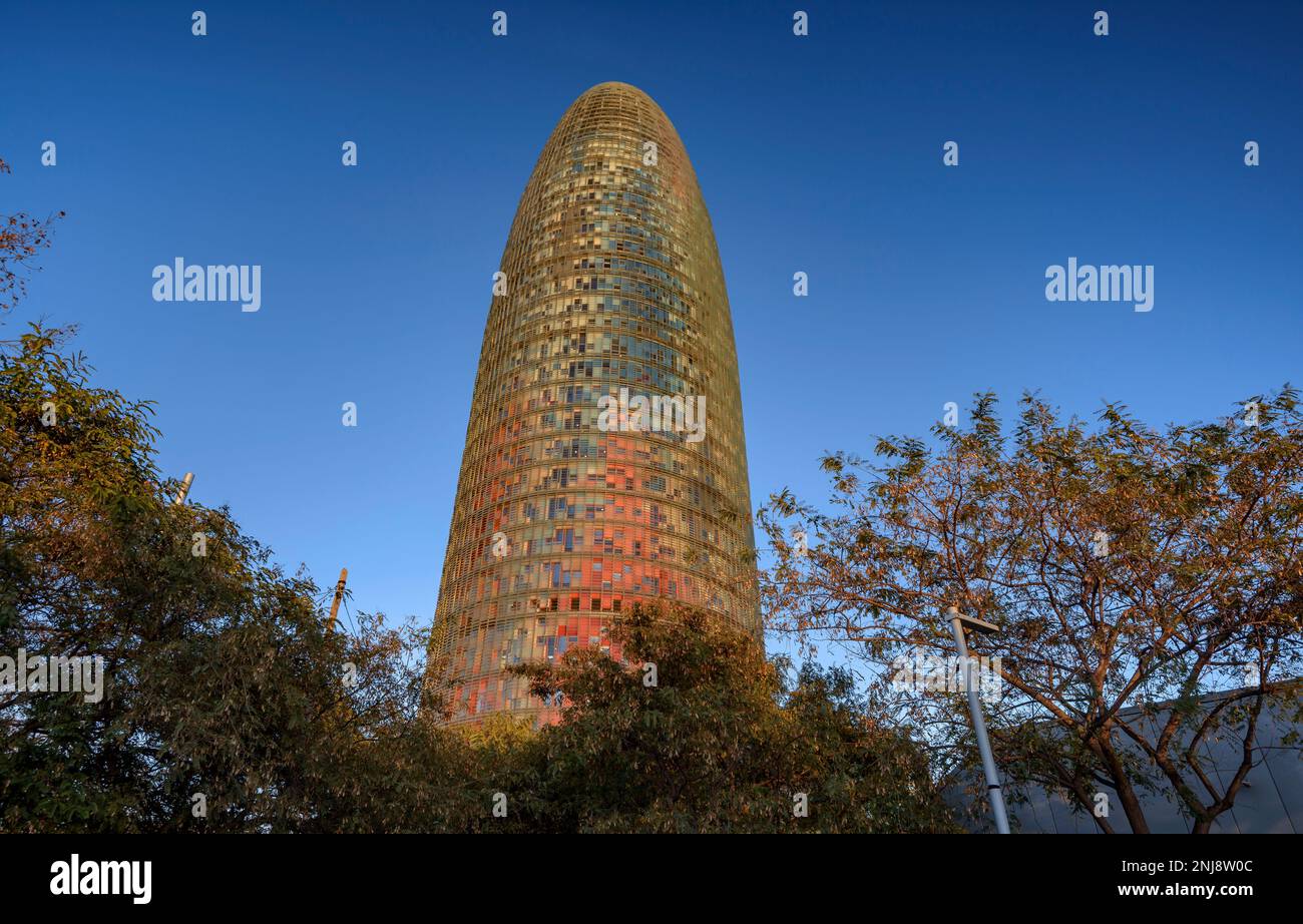 Torre Glòries (ex Agbar) al tramonto, visto da piazza Plaza de les Glòries (Barcellona, Catalogna, Spagna) ESP: Torre Glòries (antes Agbar) BCN Foto Stock