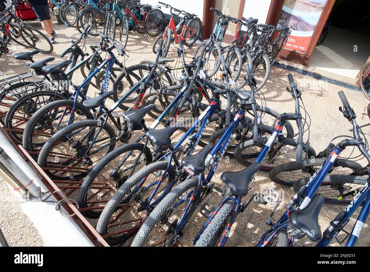 Molte biciclette a noleggio presso un negozio di noleggio playa blanca Lanzarote, Isole Canarie, Spagna Foto Stock