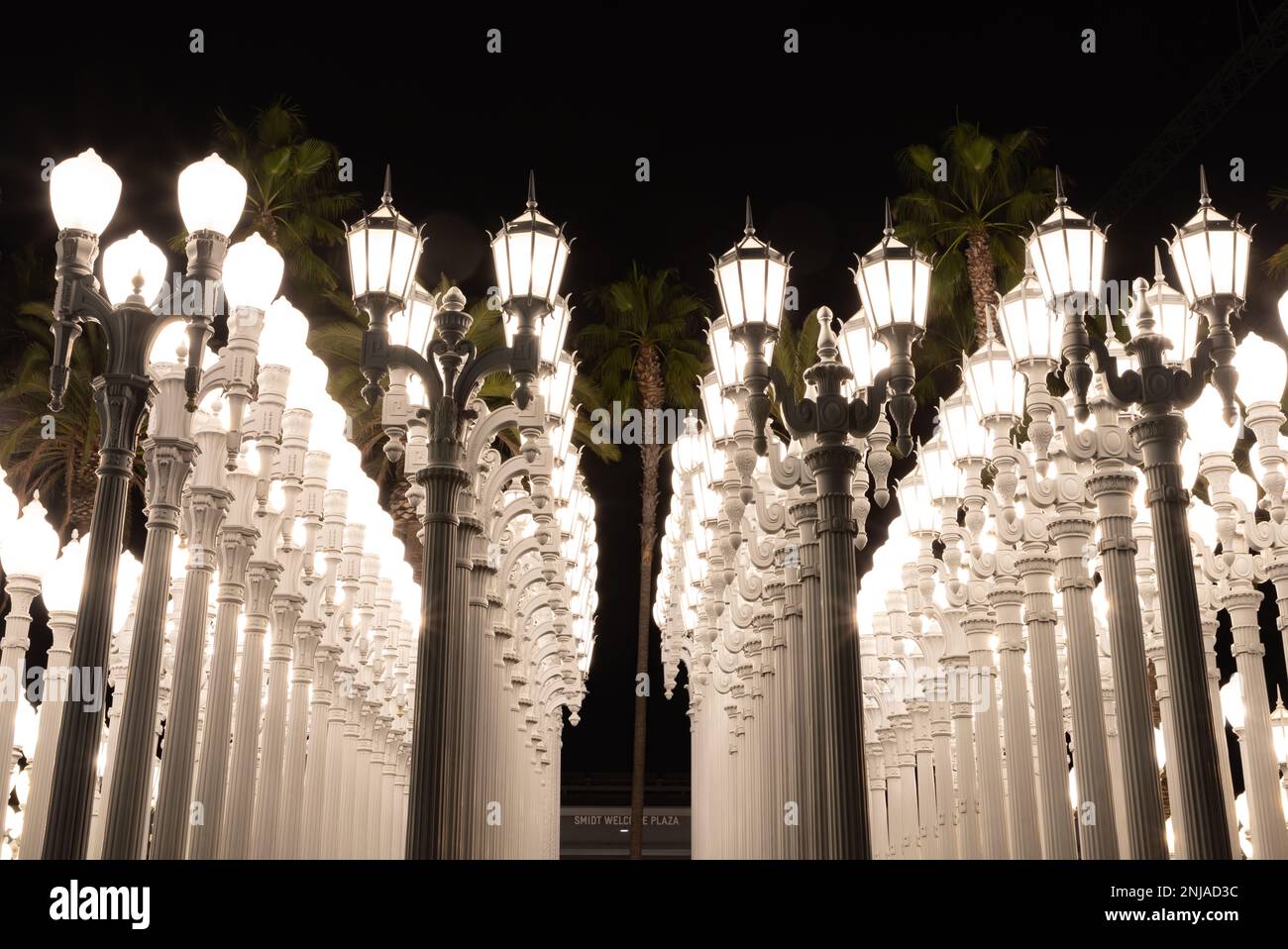 Una foto di Urban Light, un'arte pubblica progettata da Chris Burden e presentata nel 2008, accanto al Los Angeles County Museum of Art, di notte. Foto Stock