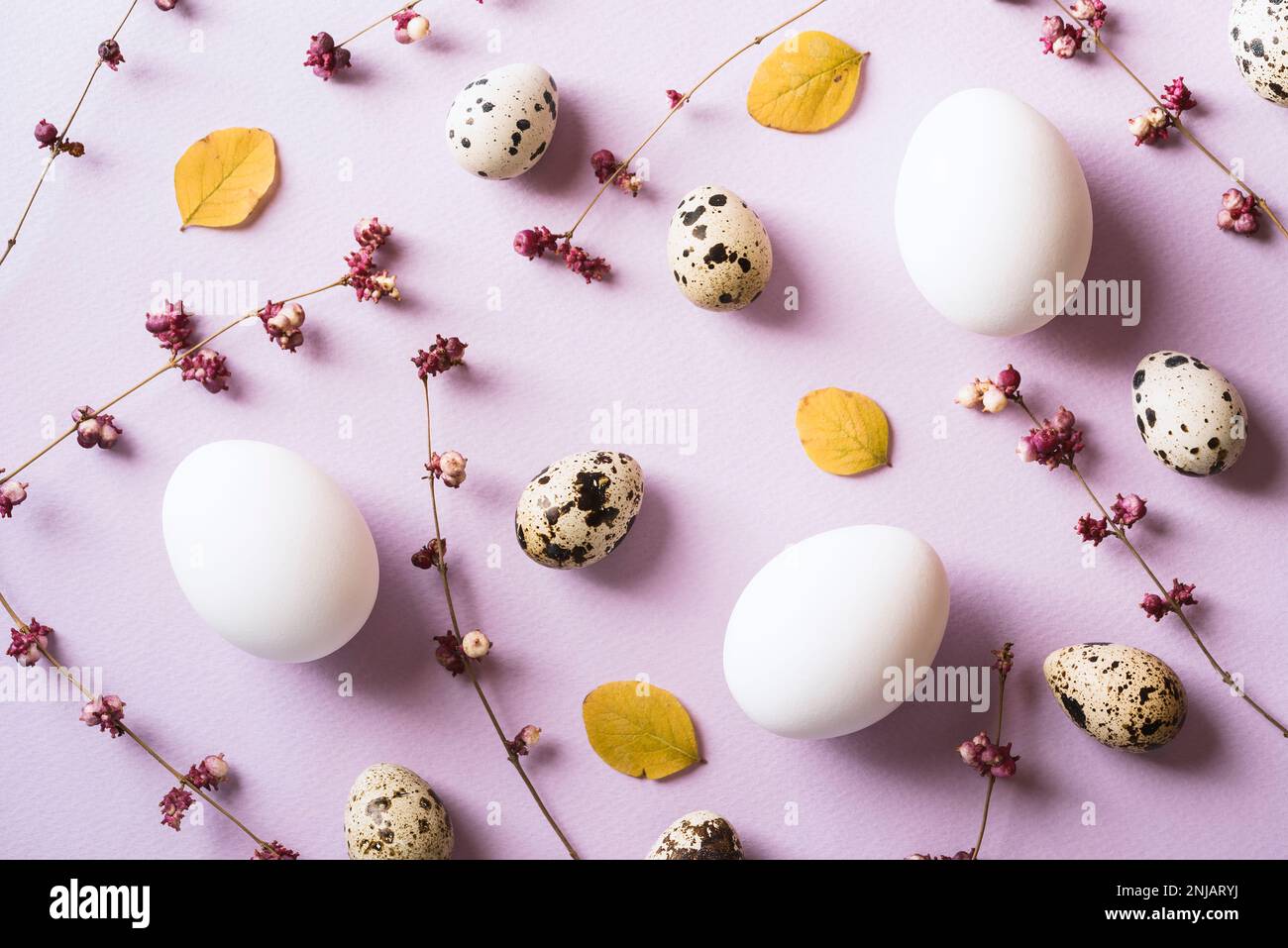 Uova e fiori primaverili viola sparsi su sfondo viola Foto Stock