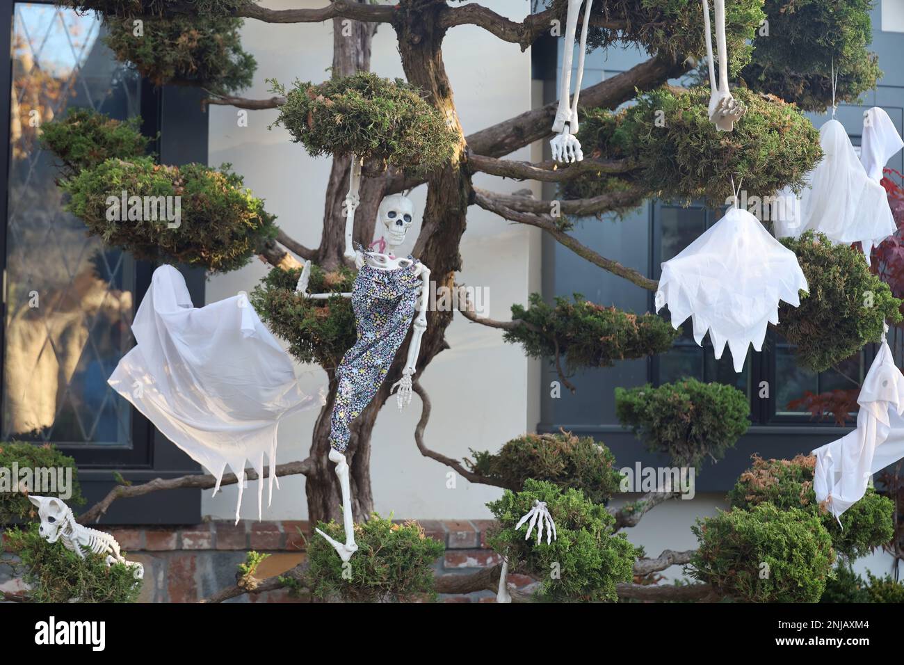 11-1-2022: Burlingame, California: Decorazioni di Halloween sulle strade Foto Stock