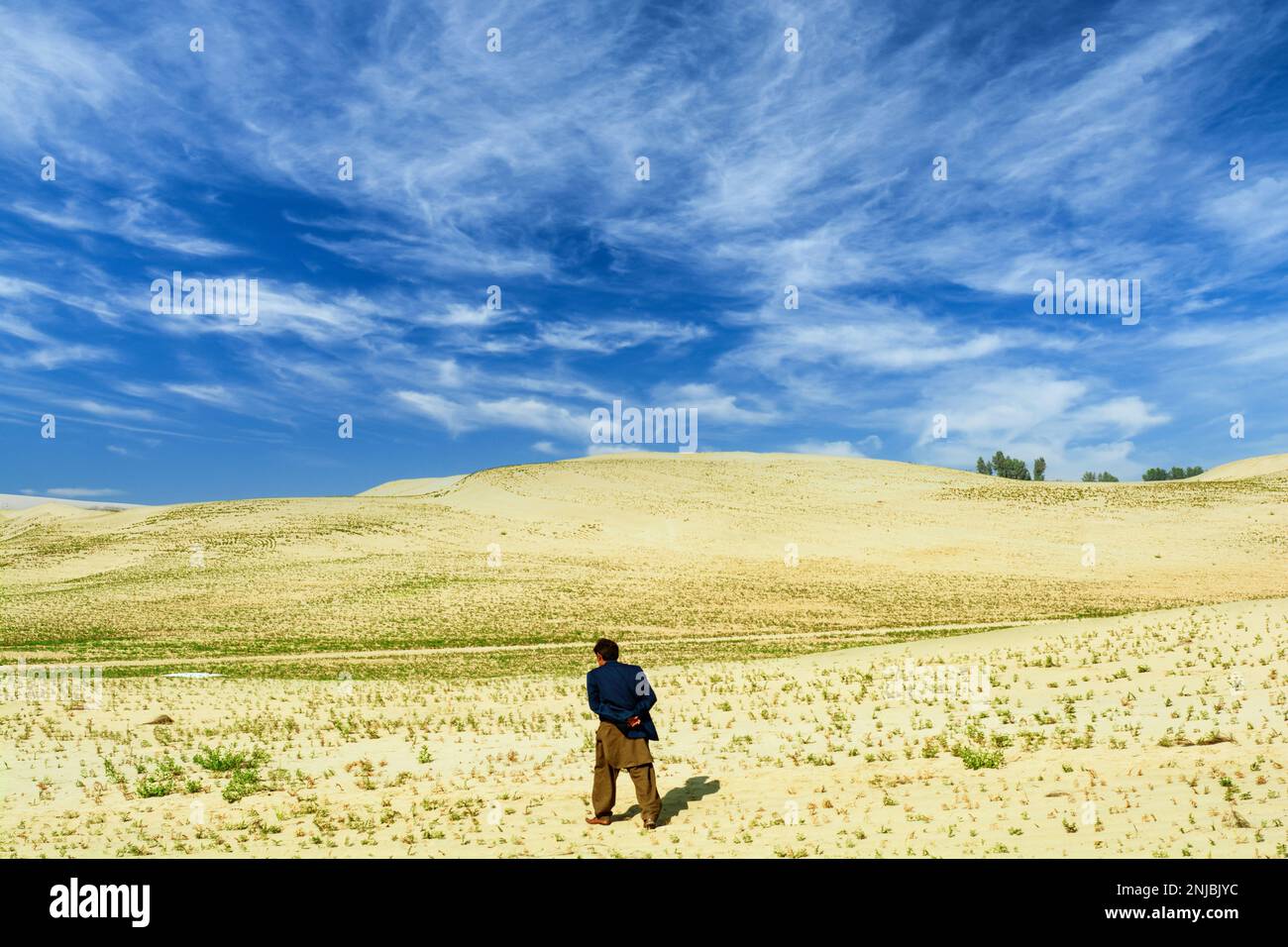 Il contadino cammina nel campo agricolo del deserto Foto Stock