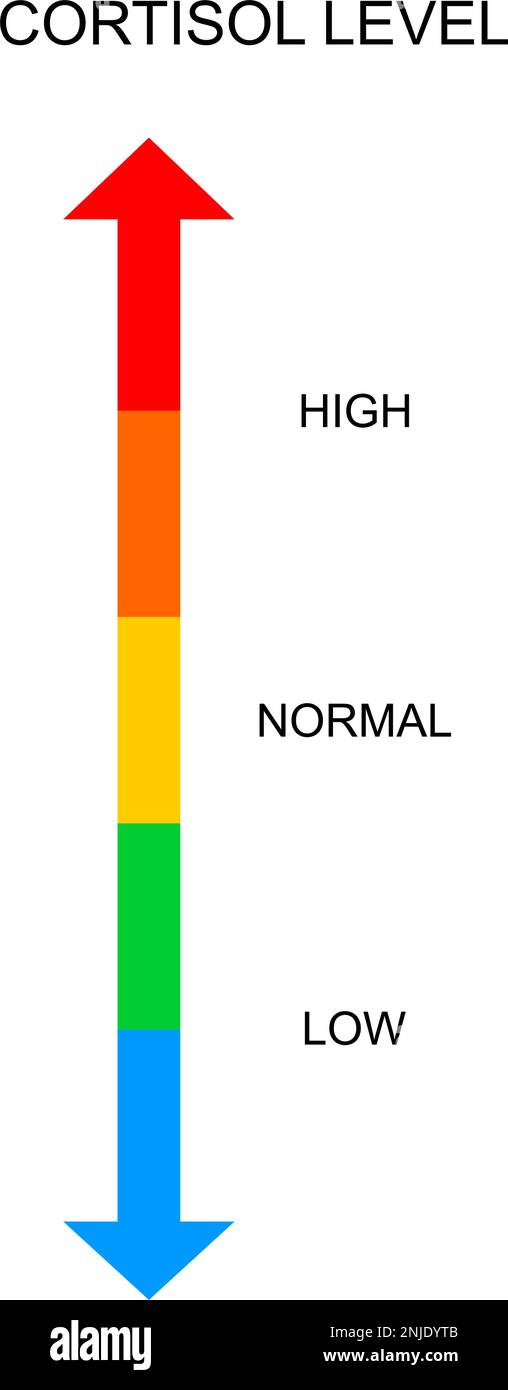 Scala verticale del cortisolo. Grafico dei livelli di risposta alle sollecitazioni del corpo da basso a alto isolato su sfondo bianco. Illustrazione piatta vettoriale. Illustrazione Vettoriale