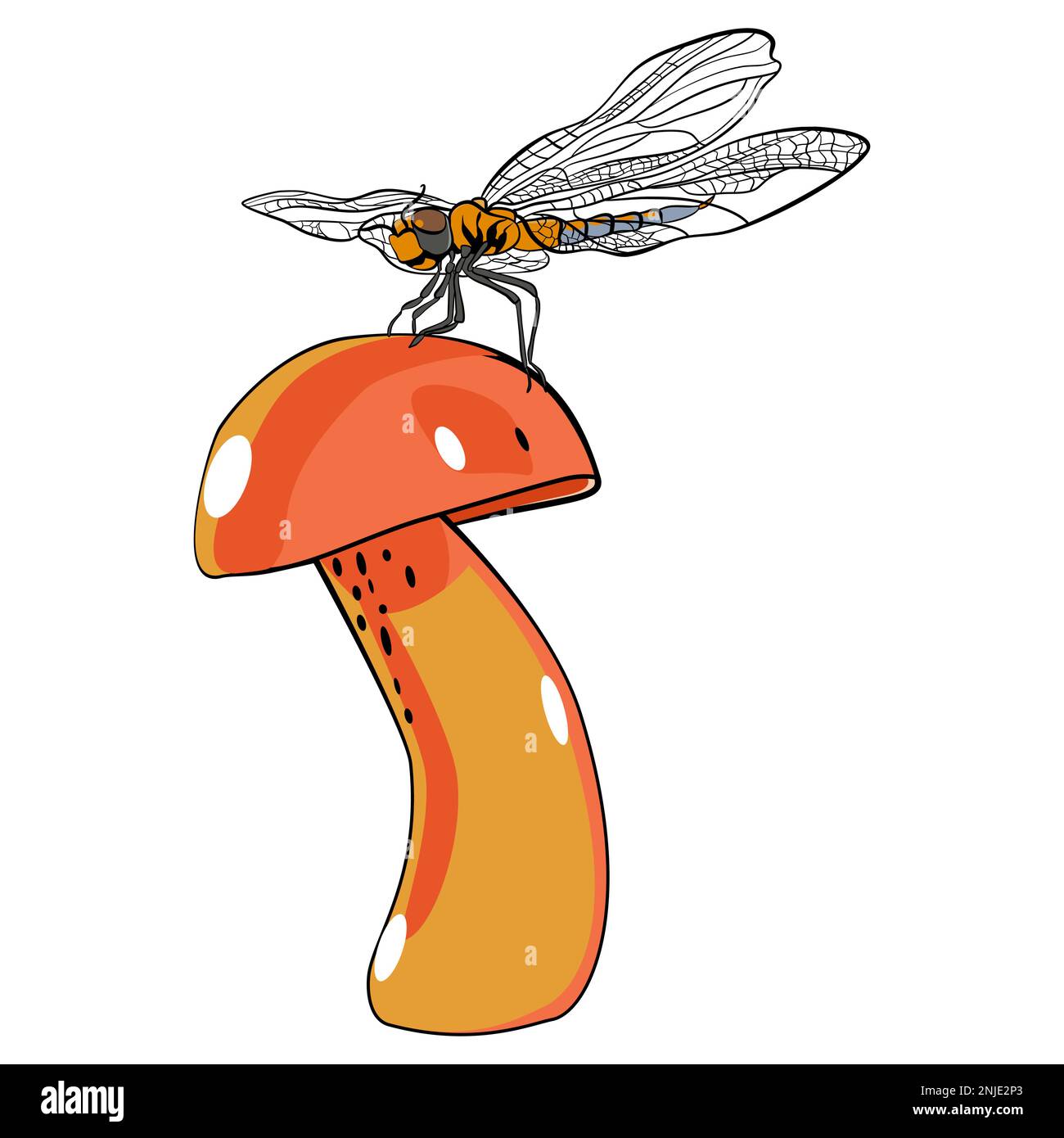 Dragonfly siede su un'illustrazione di vettore di fungo Illustrazione Vettoriale