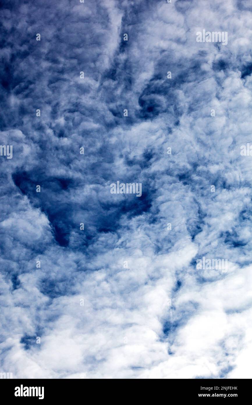 Le nuvole di cumulonimbus formano un bel motivo contro un cielo blu Foto Stock