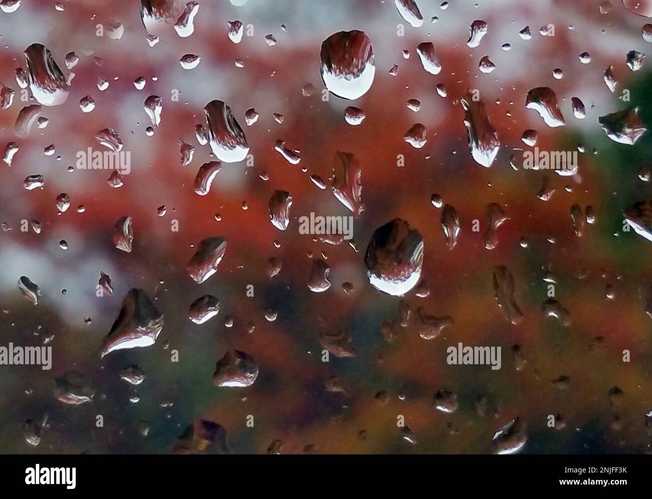 Gocce di pioggia raccolte su una finestra con astratte foglie colorate sullo sfondo Foto Stock