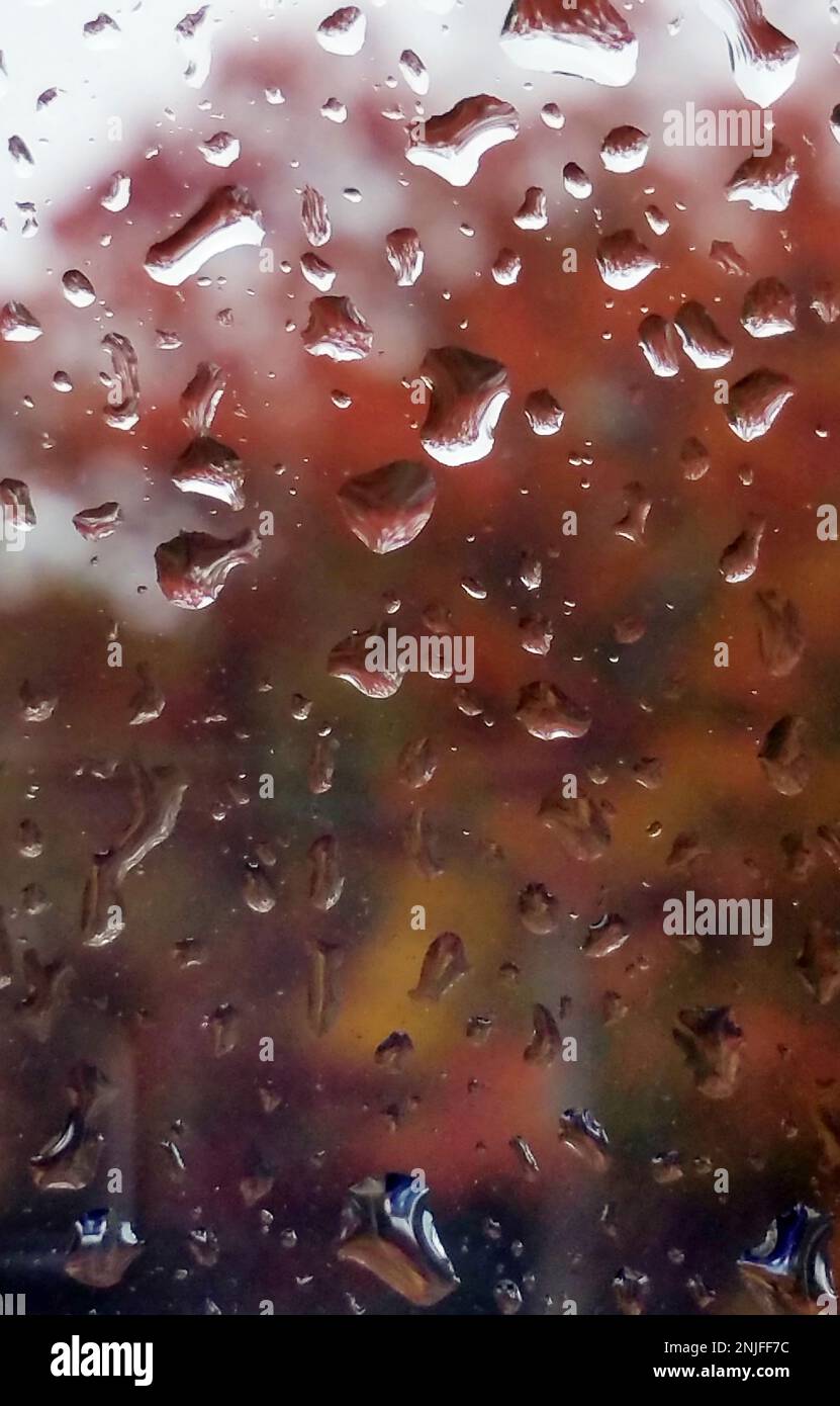 Gocce di pioggia raccolte su una finestra con astratte foglie colorate sullo sfondo Foto Stock
