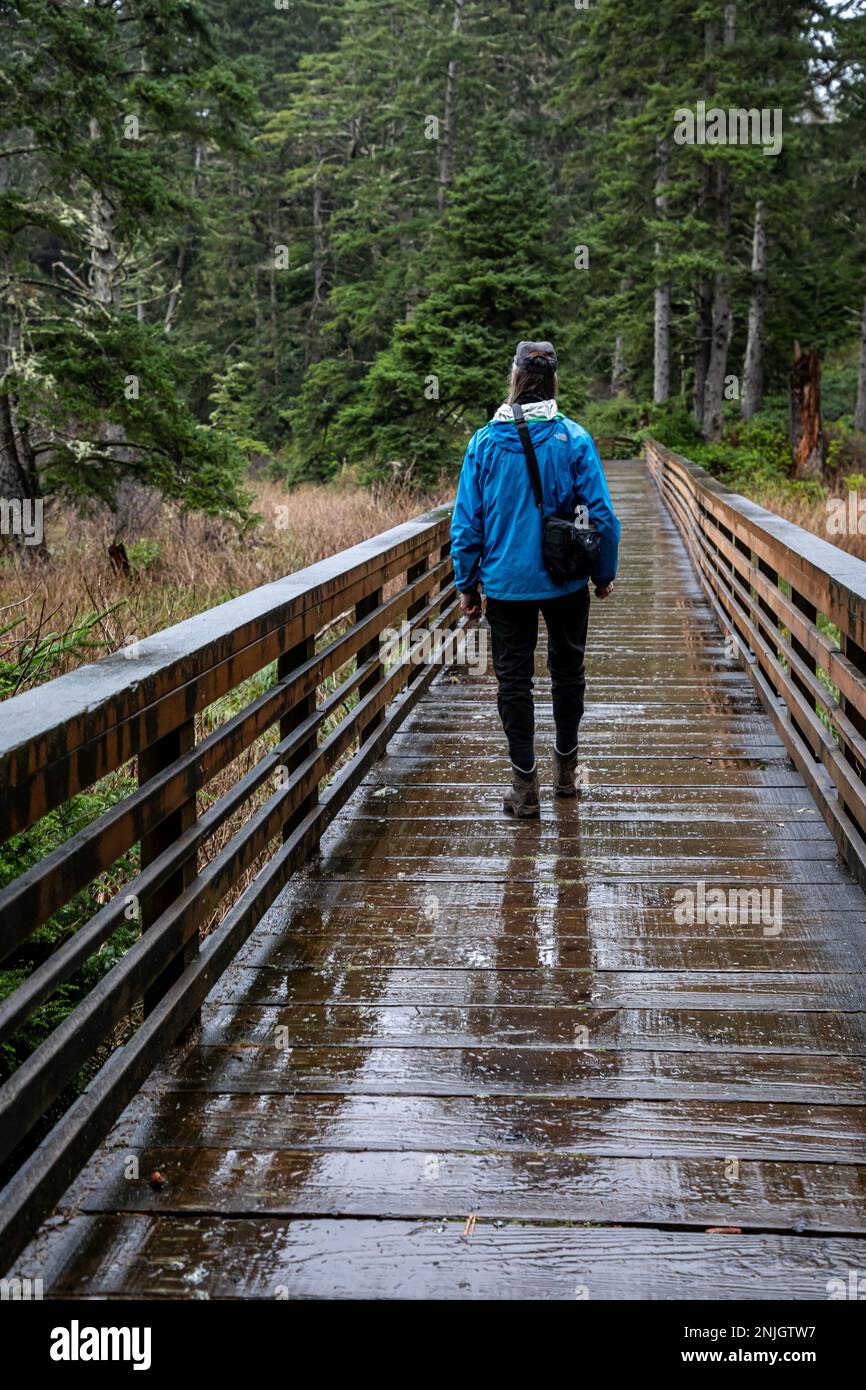 WA23044-00...WASHINGTON - Ponte sopra un'area paludosa in Beard's Hallow fino a un punto panoramico nel Cape Disappunto state Park. Foto Stock