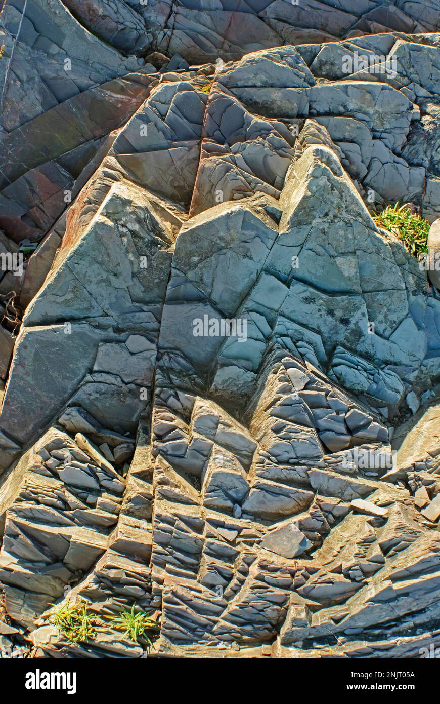Rocce aspre sulla costa scozzese vicino Eyemouth Foto Stock