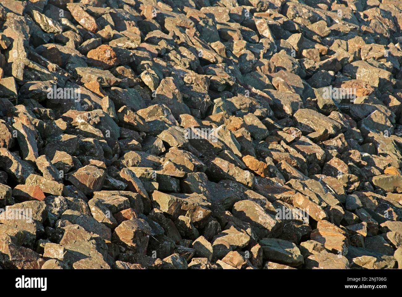 Rocce aspre e pietre sulla costa scozzese vicino Eyemouth Foto Stock