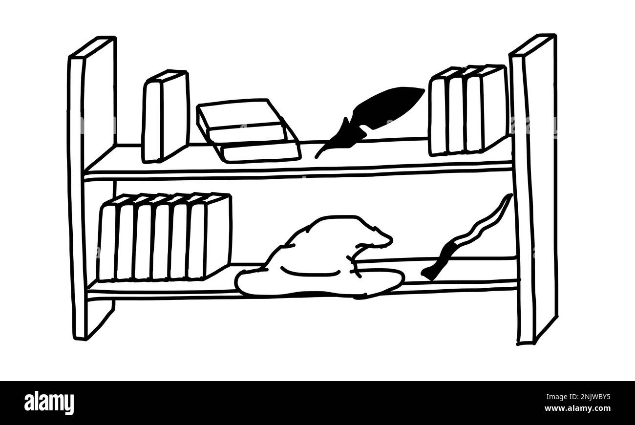 Scaffali con libri magici in stile doodle contorno. Illustrazione vettoriale isolata su sfondo bianco. Illustrazione Vettoriale