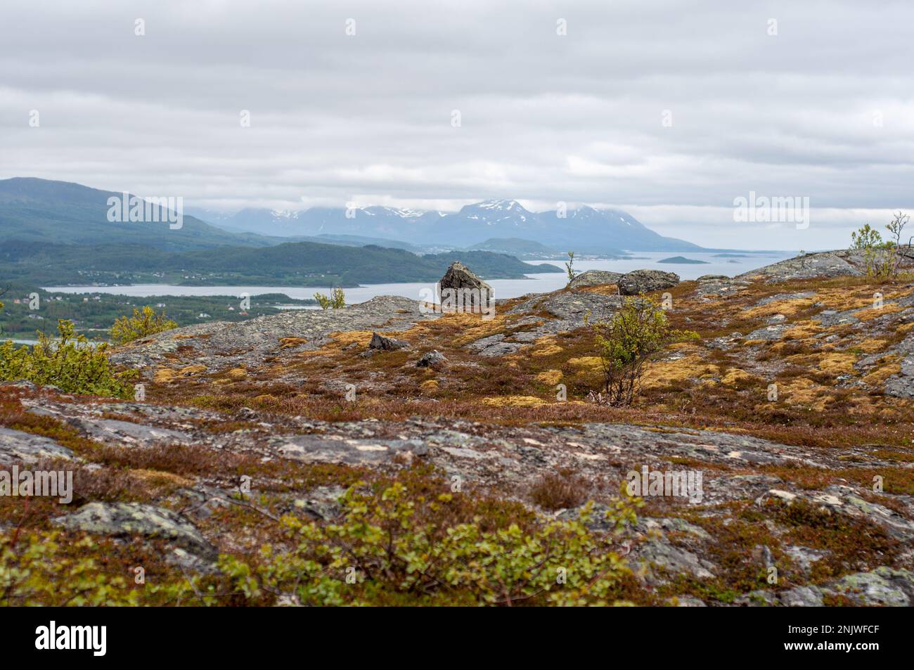 Vista sulla collina e sul fiordo nella Norvegia settentrionale durante una giornata estiva spaventosa Foto Stock