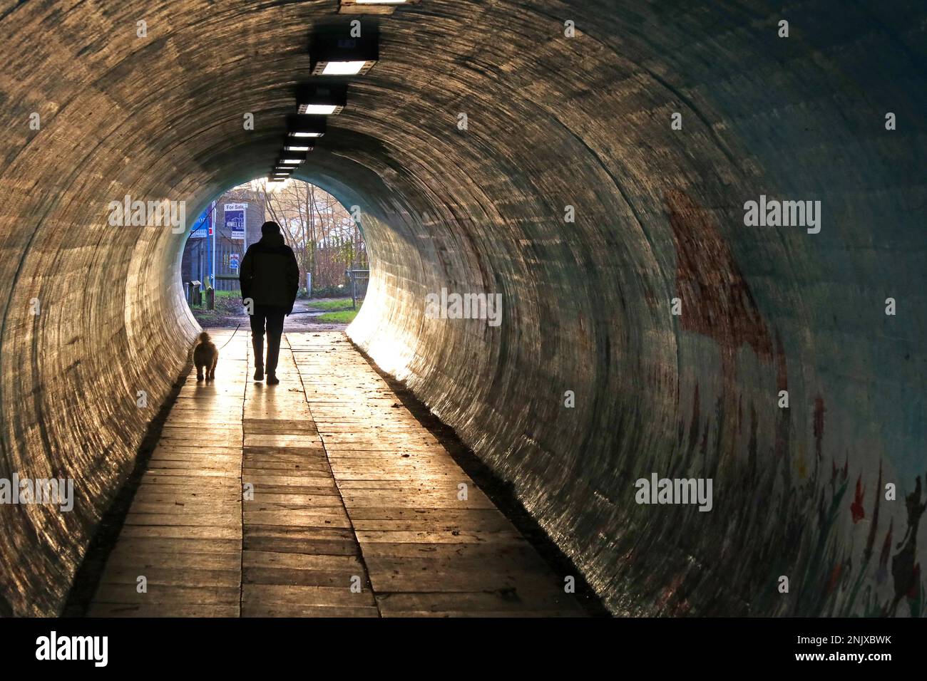 A50 Knutsford Road, tunnel pedonale di Latchford, con un uomo che cammina il suo cane in piombo, Warrington meridionale, Cheshire, Inghilterra, Regno Unito, WA4 Foto Stock