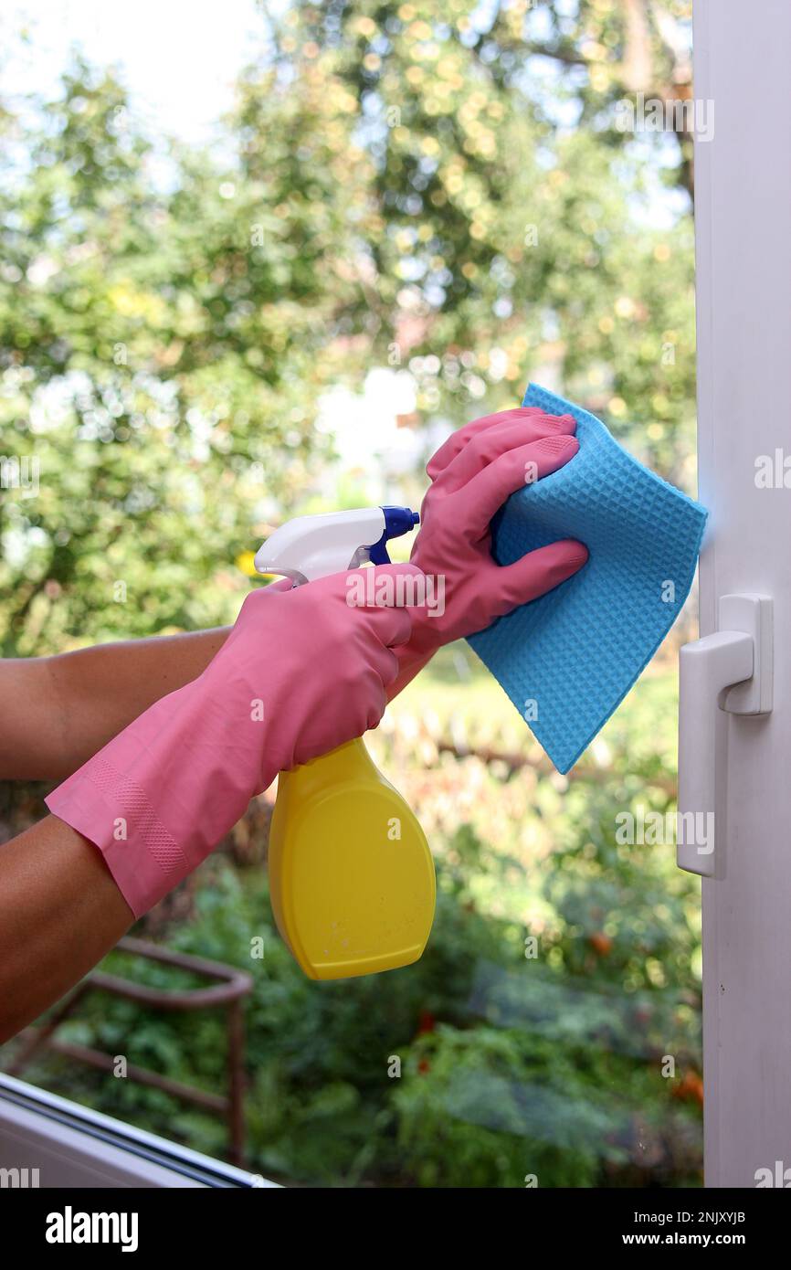 Donna di pulizia di vetri Foto Stock