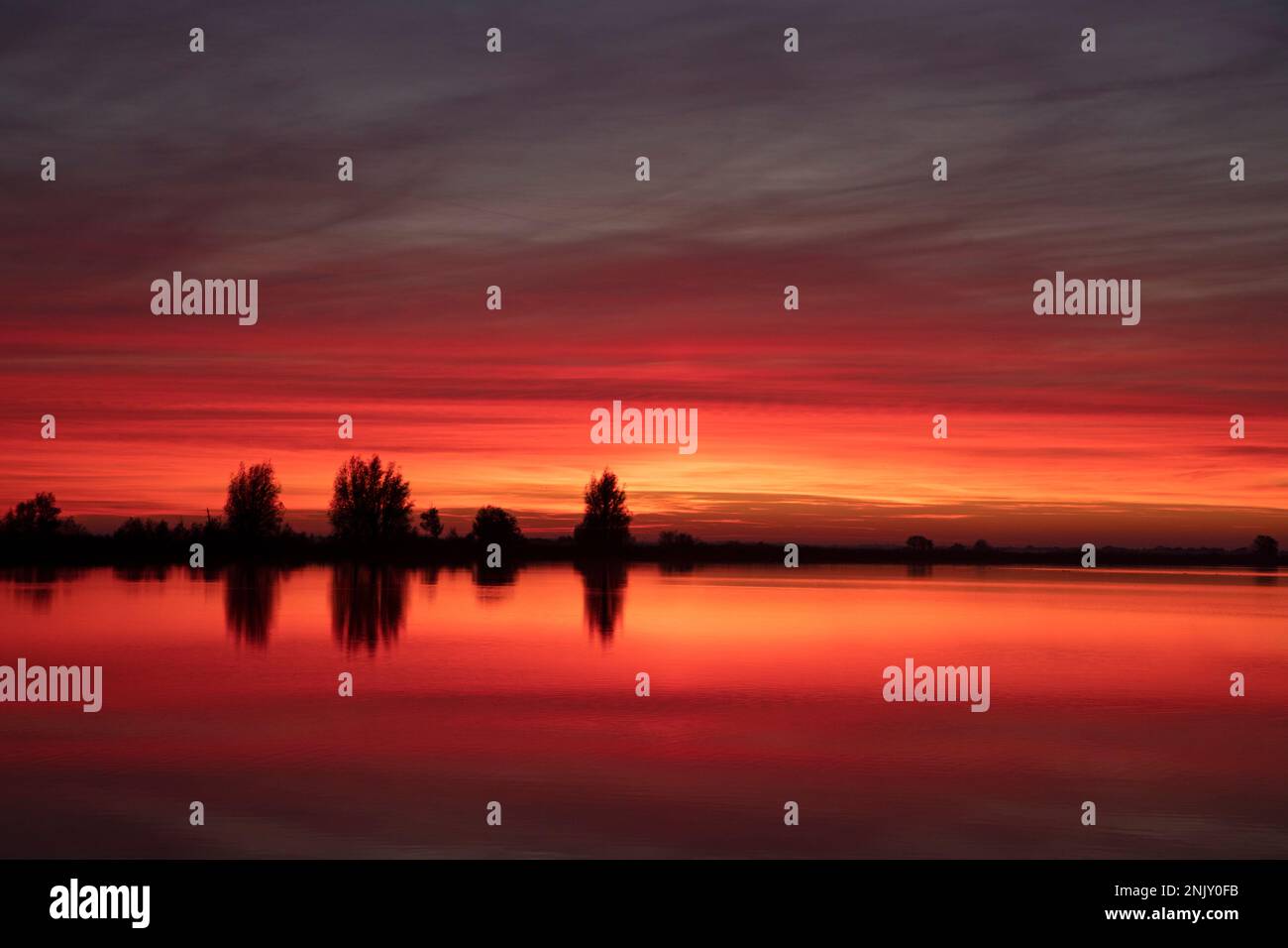 Cielo rosso dopo il tramonto sul Oostvaarderspassen, Paesi Bassi, Flevoland, Lelystad Foto Stock