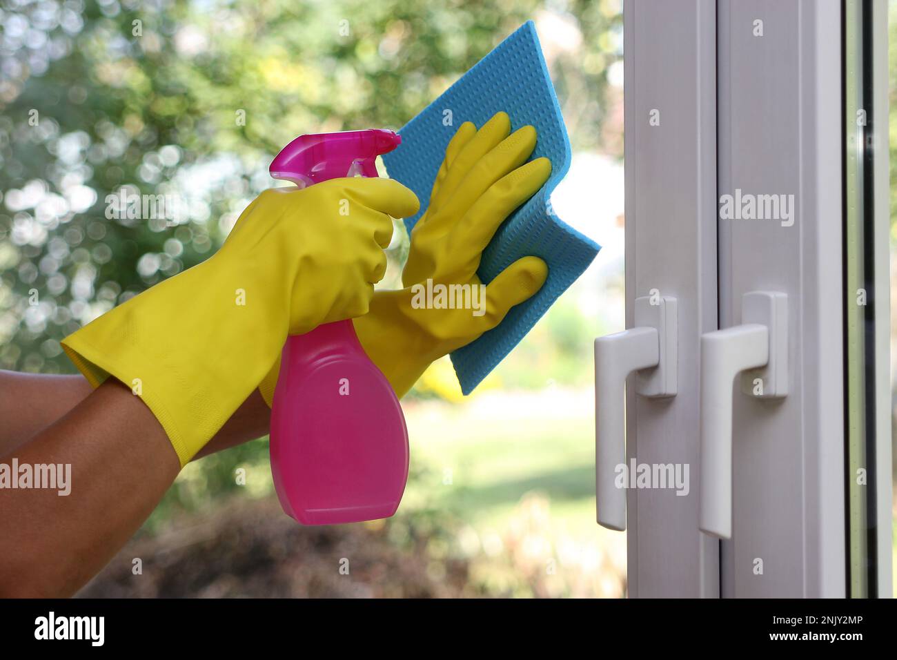 Donna di pulizia di vetri Foto Stock