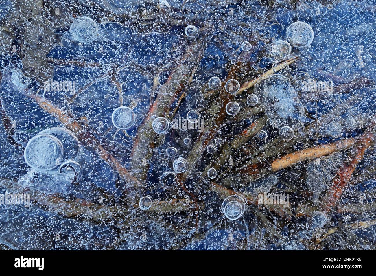 Closeup acqua congelata con bolle d'aria catturato sotto il ghiaccio Foto Stock