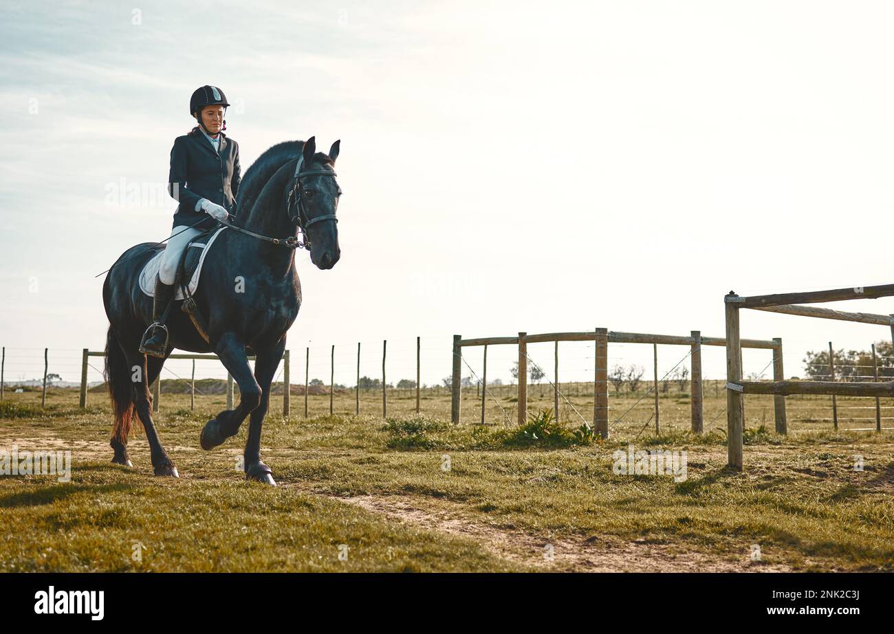 Donna, equestre, equitazione e beffa nella natura in campagna e campo d'erba. Allenamento di animali, jockey giovane e fattoria di un pilota e atleta con Foto Stock