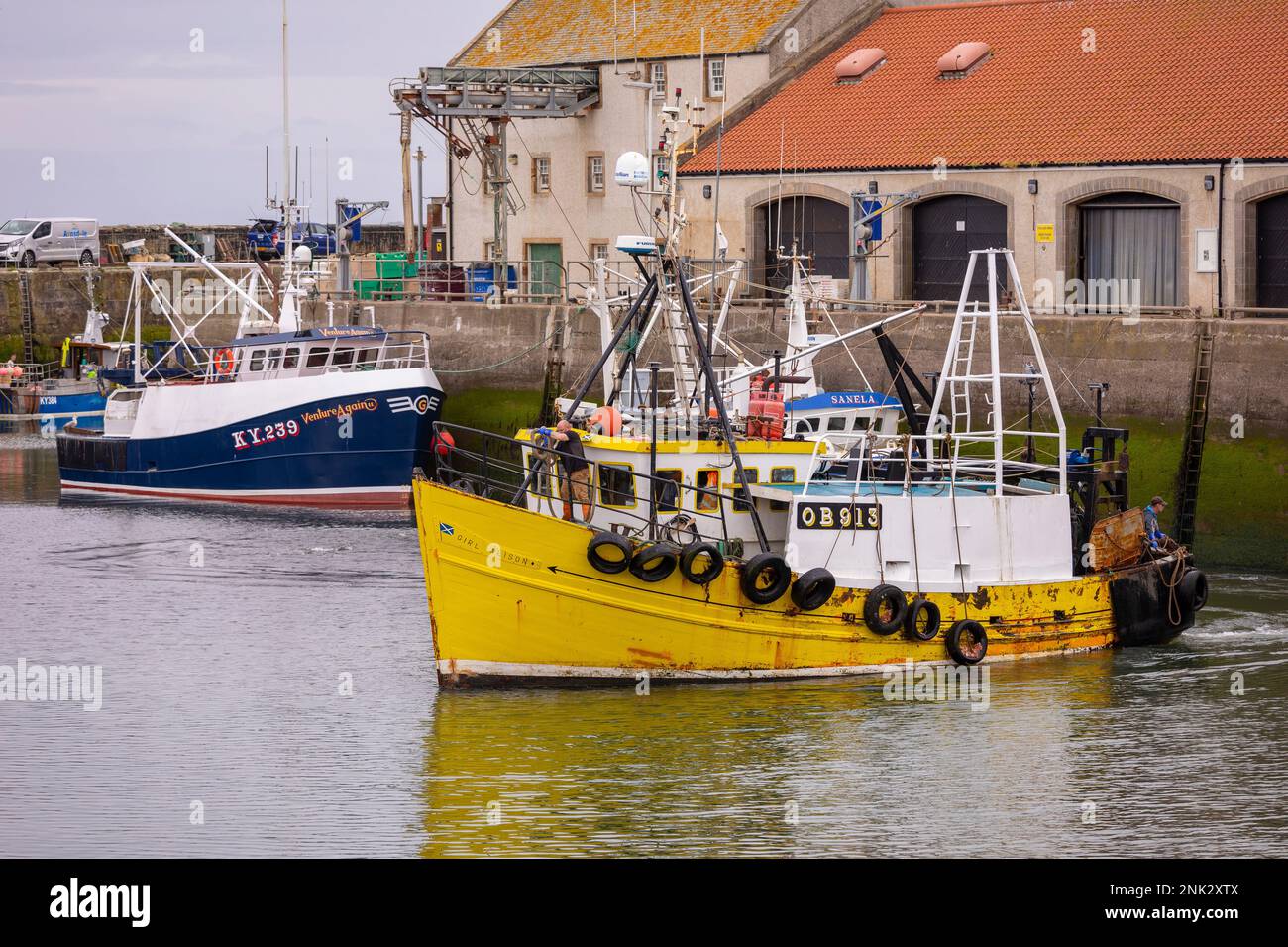 Porto di PITTENWEEM, SCOZIA, EUROPA - pescherecci commerciali, villaggio di pescatori sulla costa orientale della Scozia, East Neuk. Foto Stock