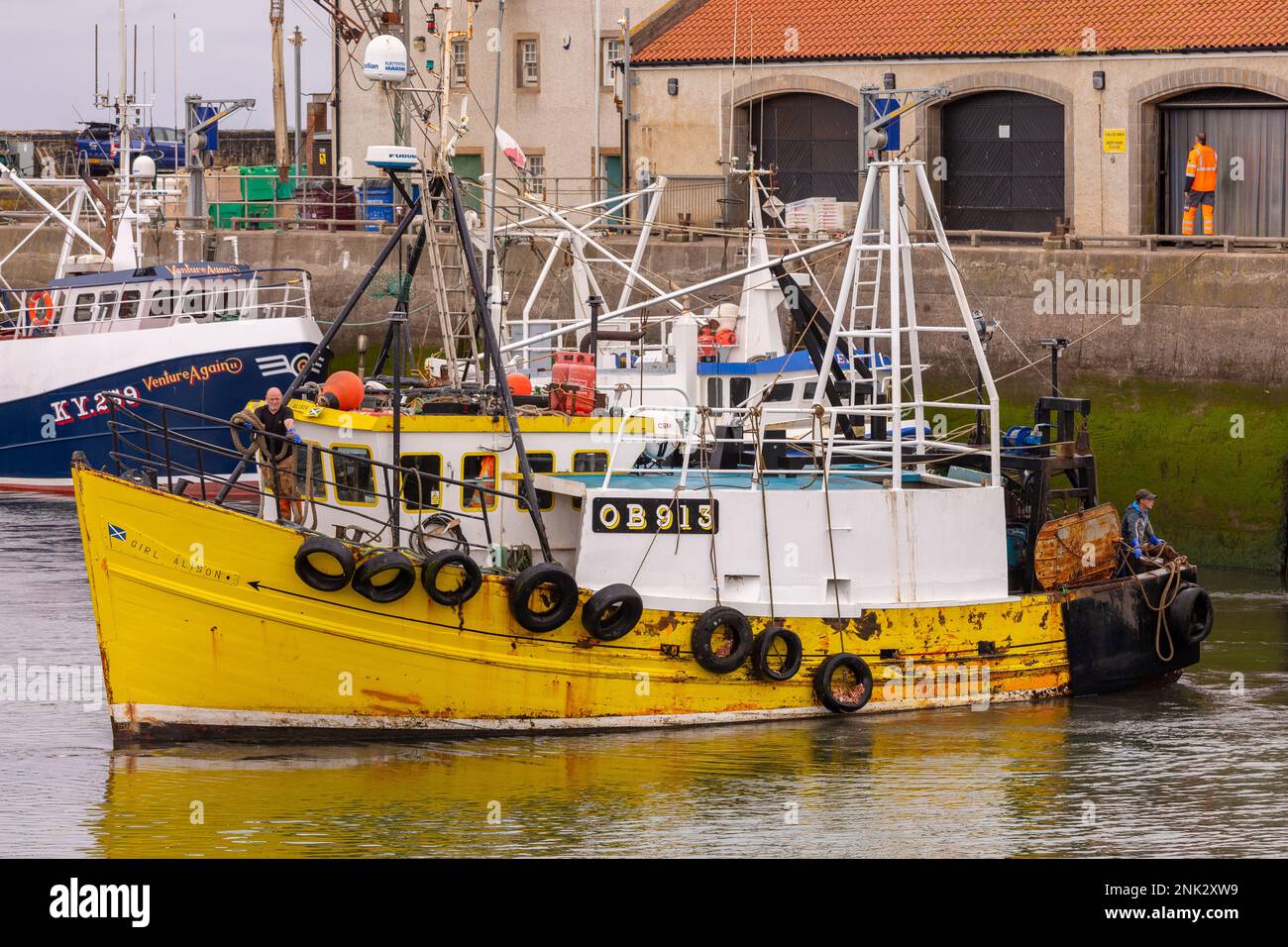 Porto di PITTENWEEM, SCOZIA, EUROPA - pescherecci commerciali, villaggio di pescatori sulla costa orientale della Scozia, East Neuk. Foto Stock