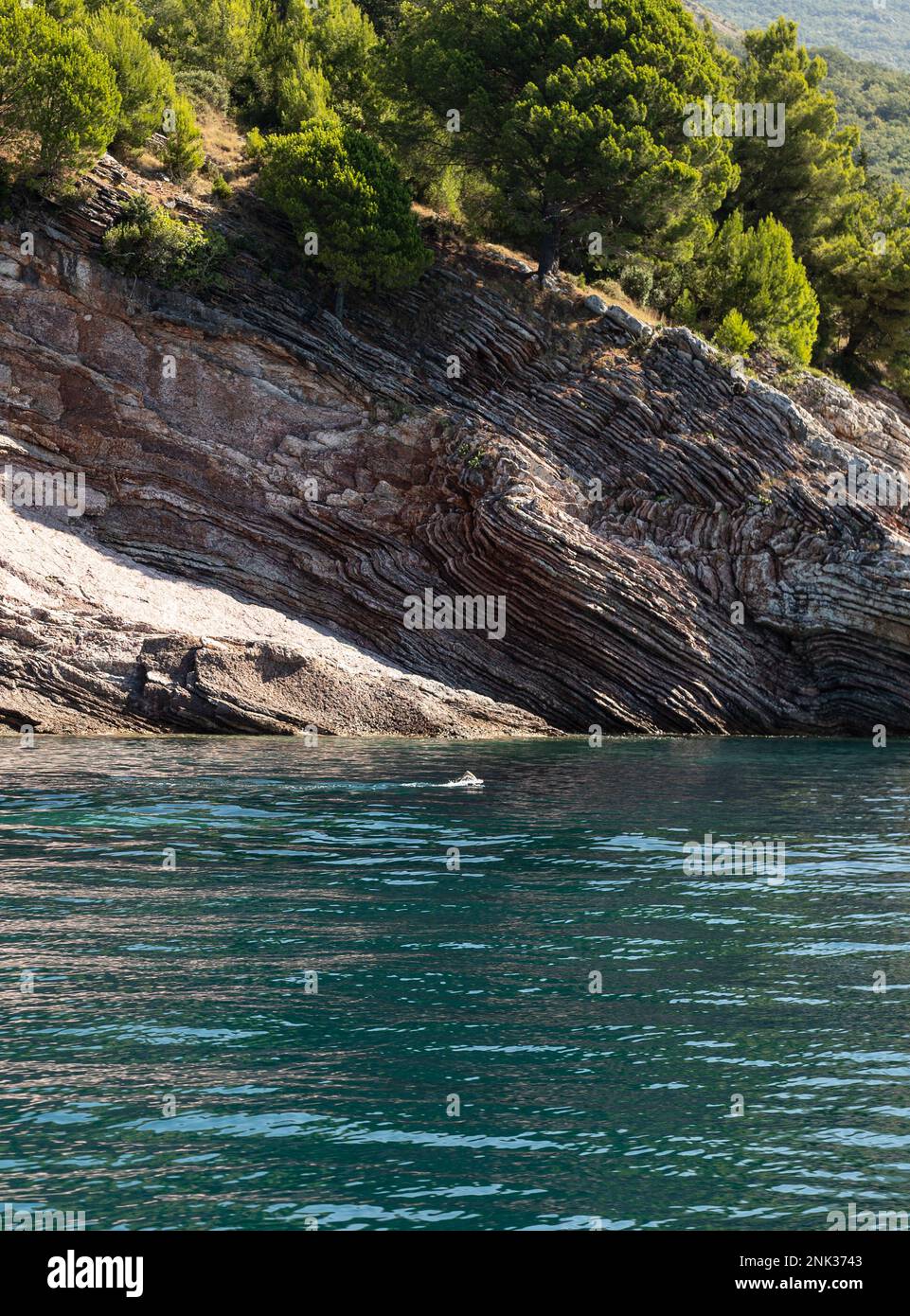 Nuotatore in mare vicino alle rocce Foto Stock