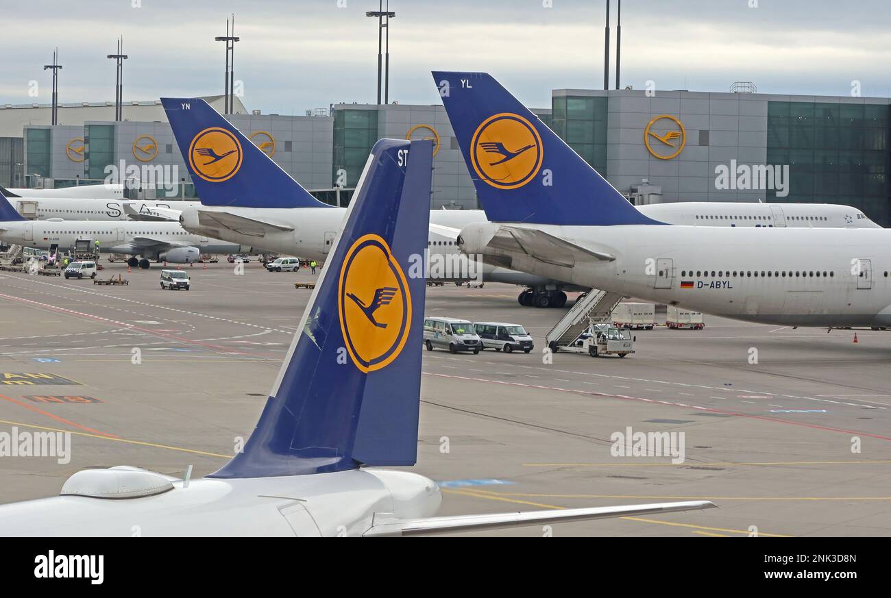 Tre aerei, più aerei Lufthansa all'aeroporto di Francoforte, Assia, Germania Foto Stock