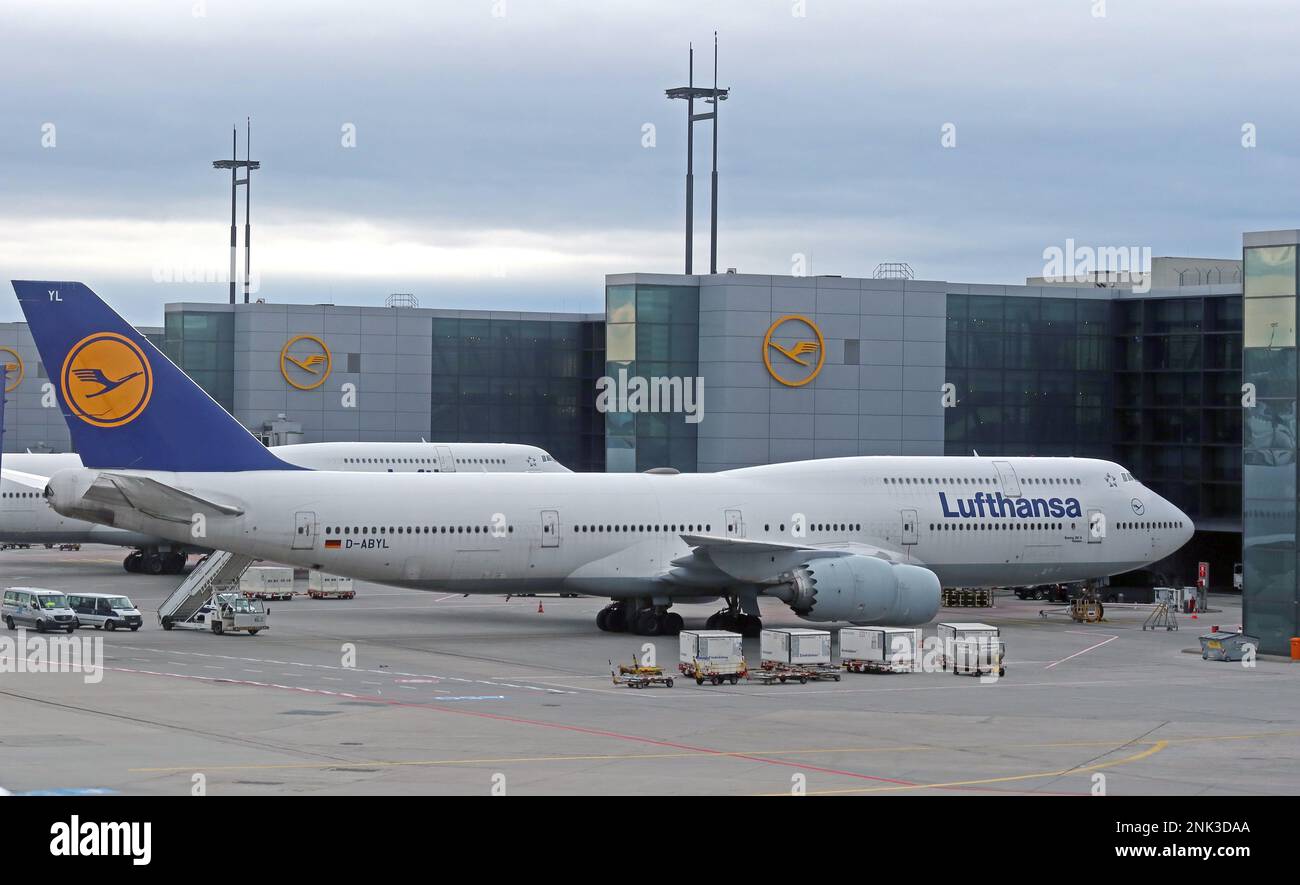 Boeing 747-830 D-ABYL - Lufthansa all'aeroporto di Francoforte, Assia, Germania Foto Stock