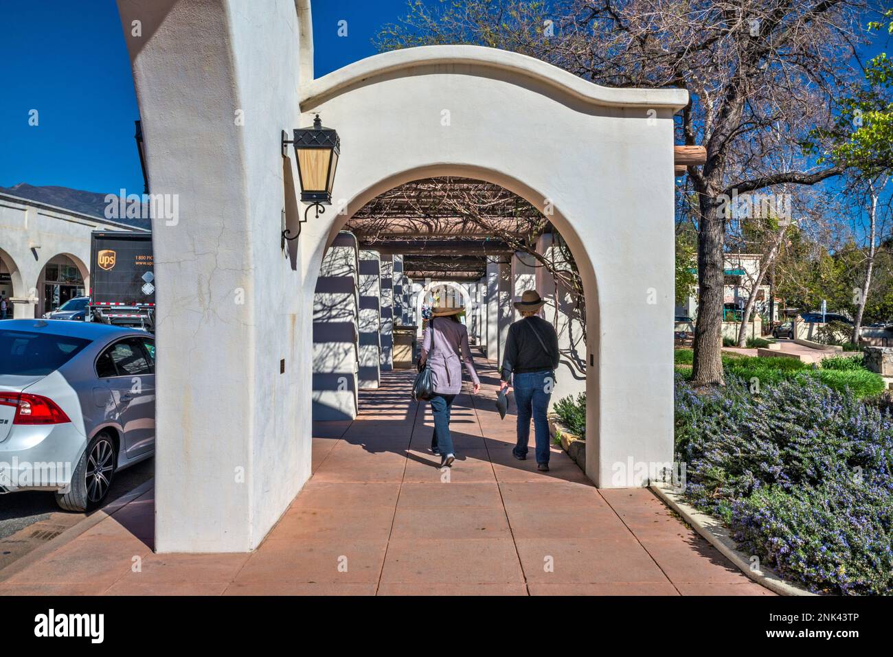 Pergola a Libbey Park, senza fronde all'inizio della primavera, Ojai Avenue, Ojai, California, Stati Uniti Foto Stock