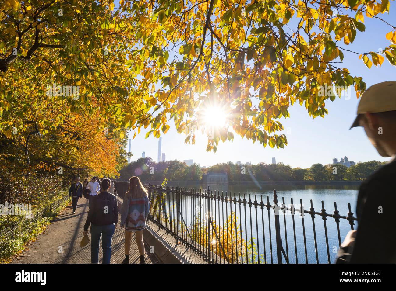 La luce del sole illumina gli alberi di colore delle foglie autunnali a Central Park New York City Foto Stock