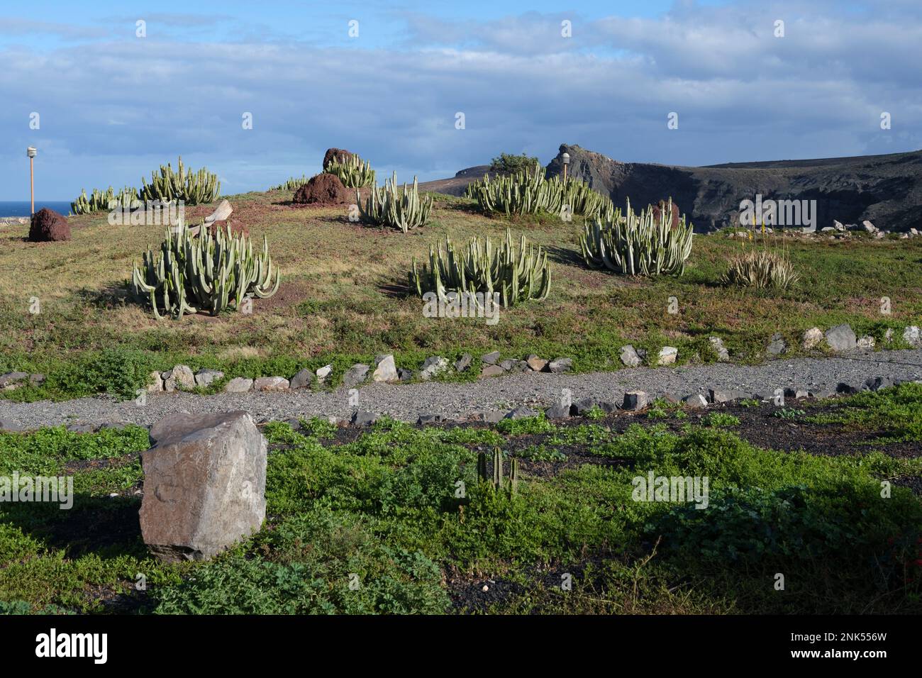 Bellissimo giardino di cactus vicino all'oceano in Agaete Foto Stock