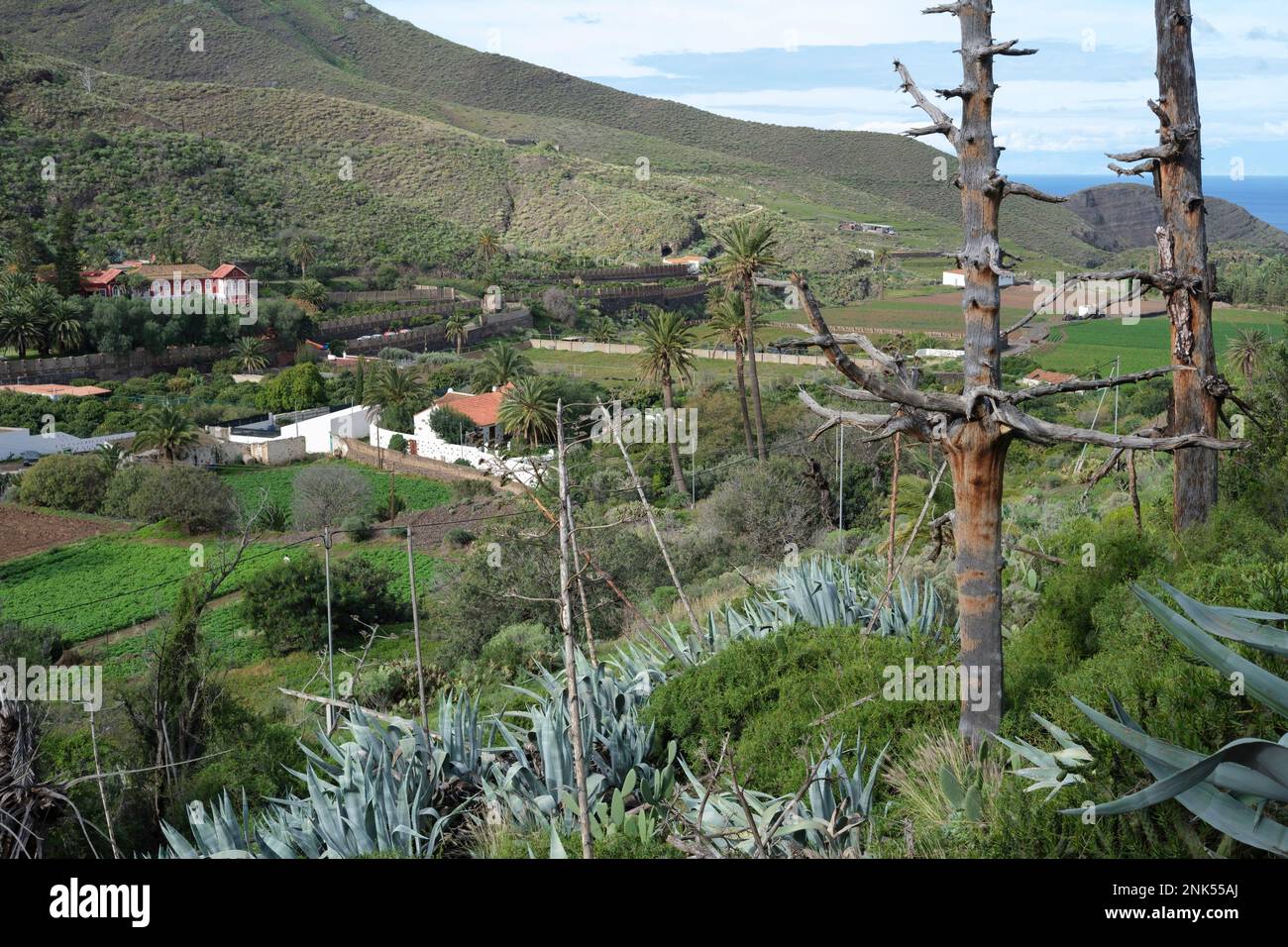 Una valle fruttuosa con fattorie e campi tipici dell'isola di Gran Canaria Foto Stock
