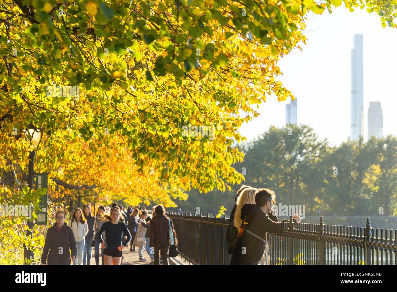 La luce del sole illumina gli alberi di colore delle foglie autunnali a Central Park New York City Foto Stock
