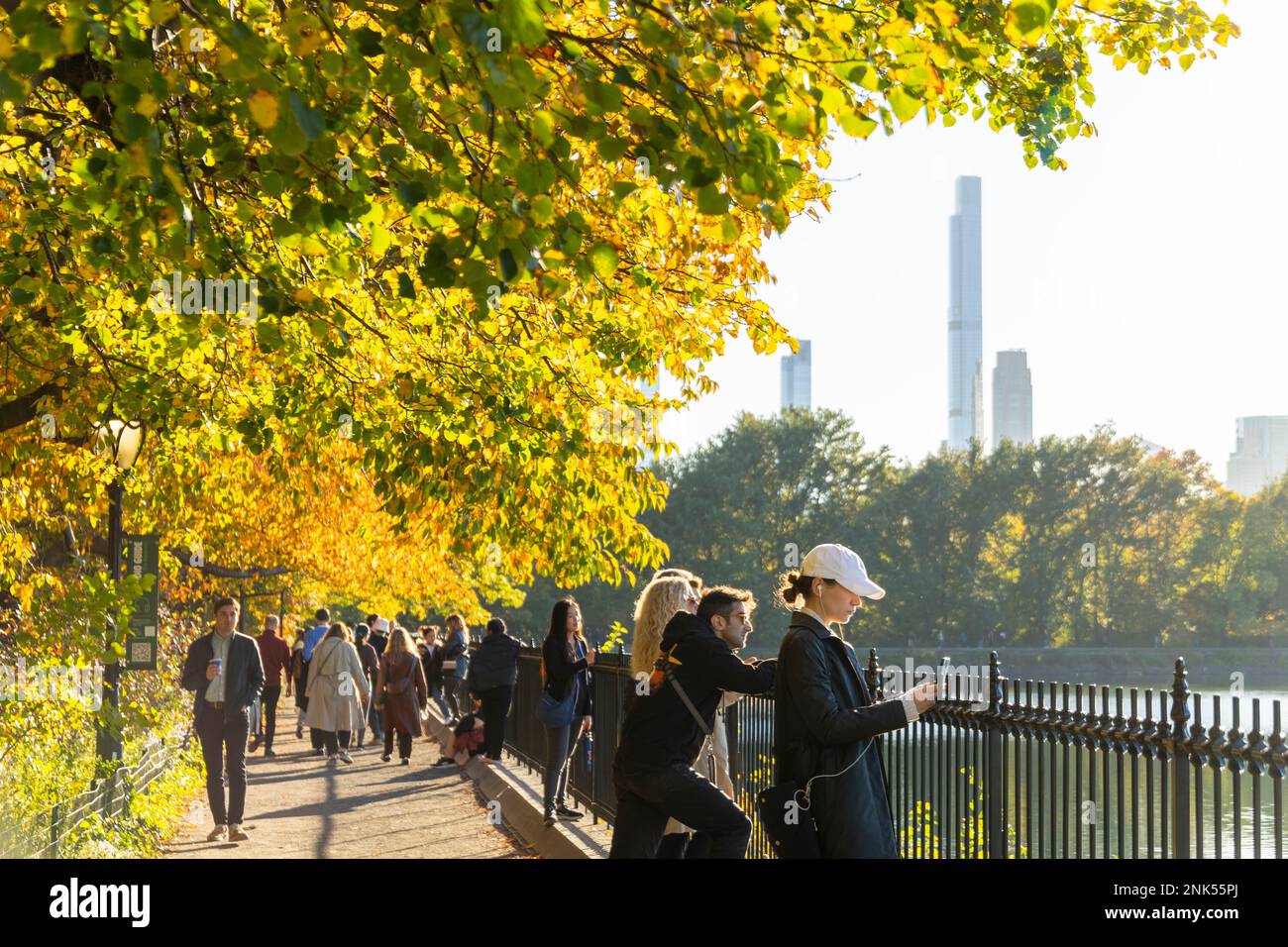 La luce del sole illumina gli alberi di colore delle foglie autunnali a Central Park New York City Foto Stock